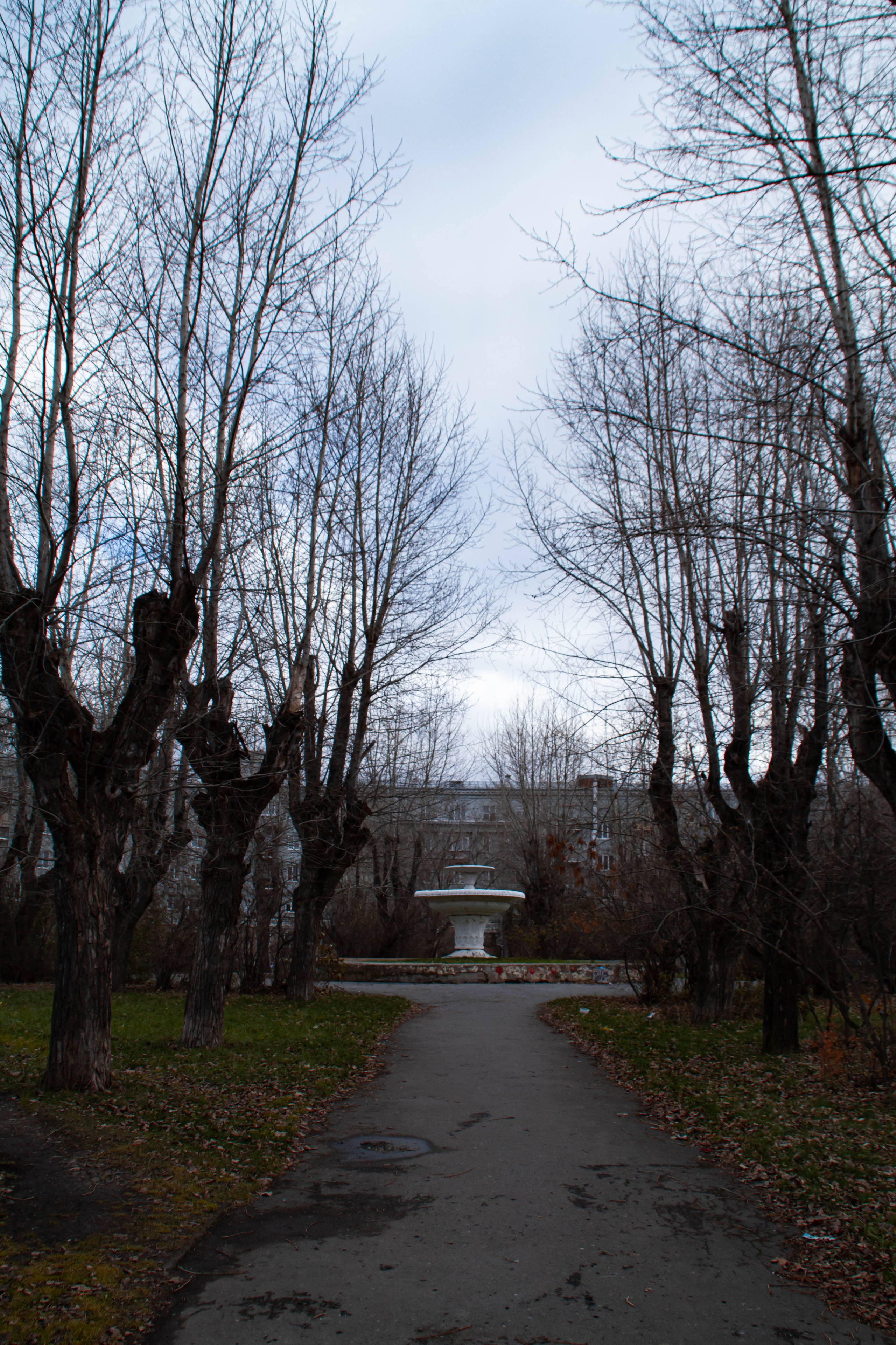 Архитектура