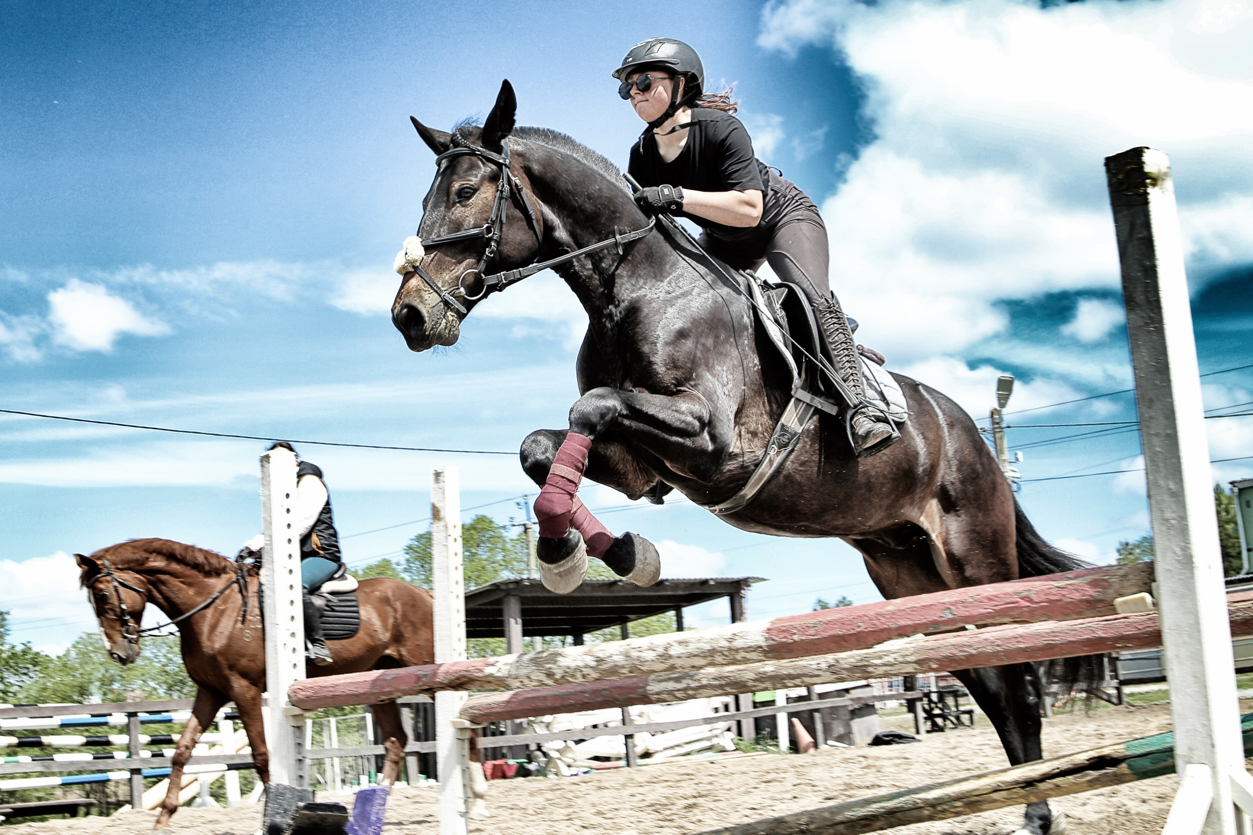 Лошади «Каскад» и «Брилиант». Алиса Томшина — Фотограф / Видеограф