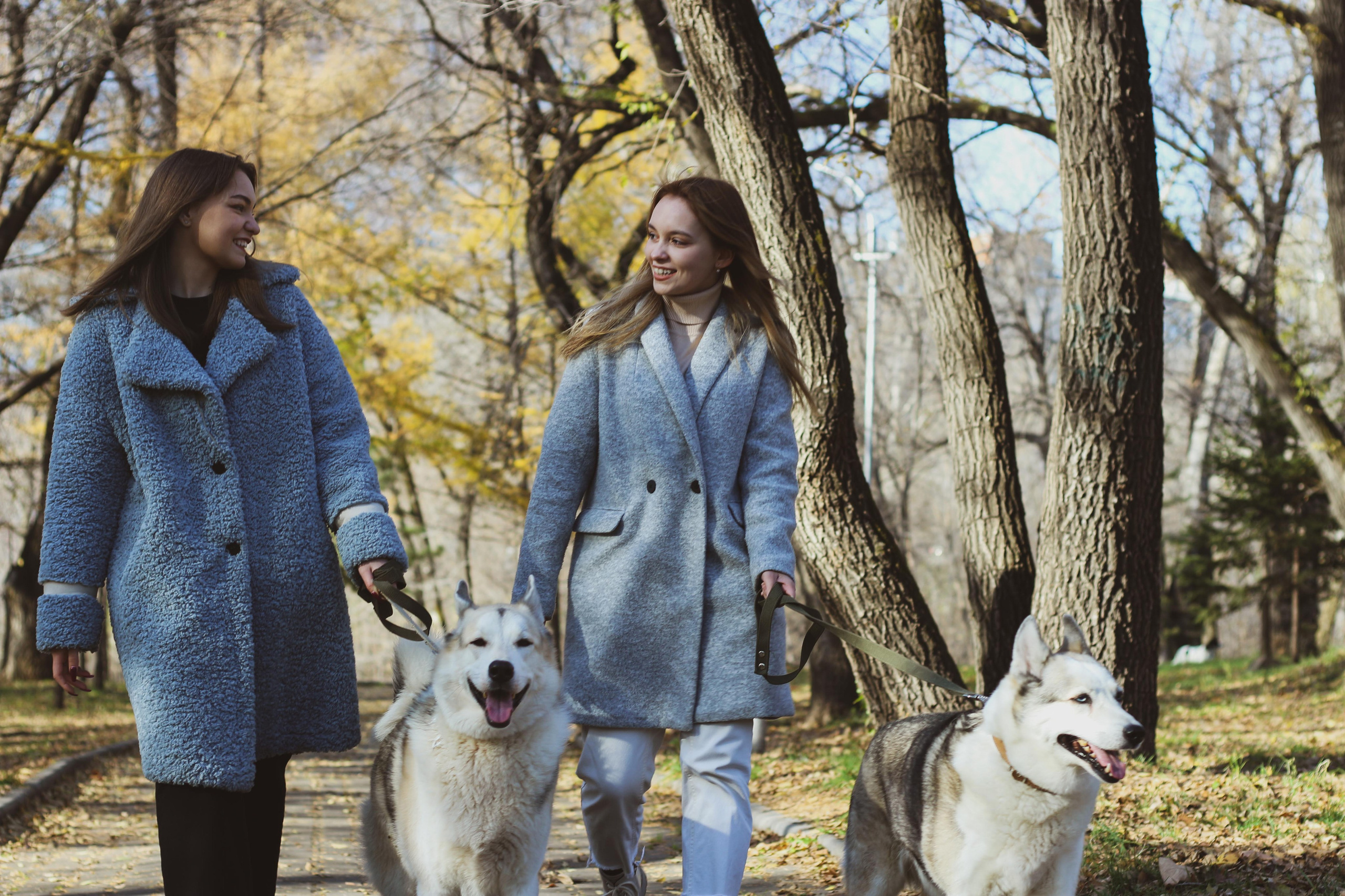 Прогулка 1. Алиса Томшина — Фотограф / Видеограф