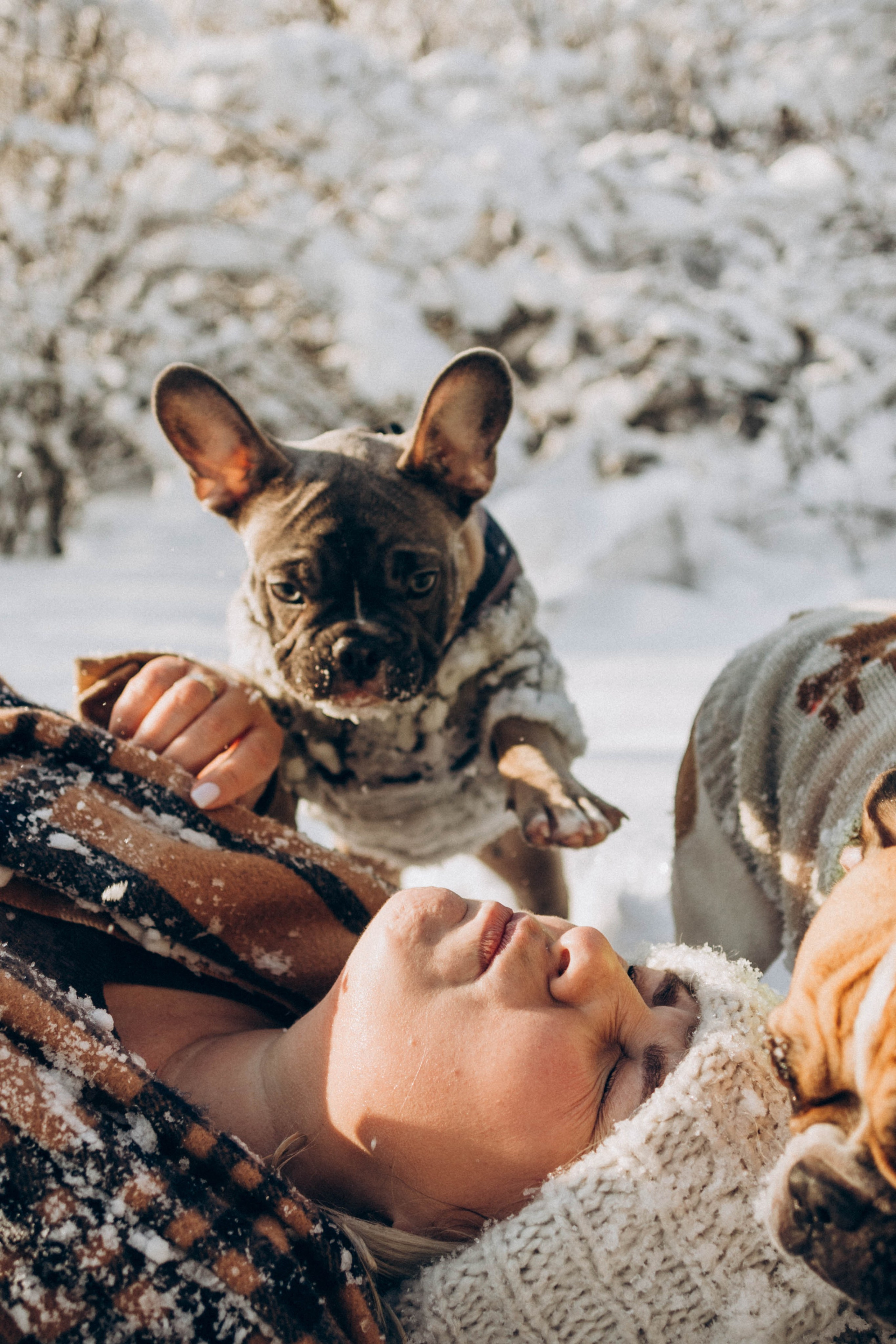 Зима. Семейный фотограф Наталия Демченко, Краснодар