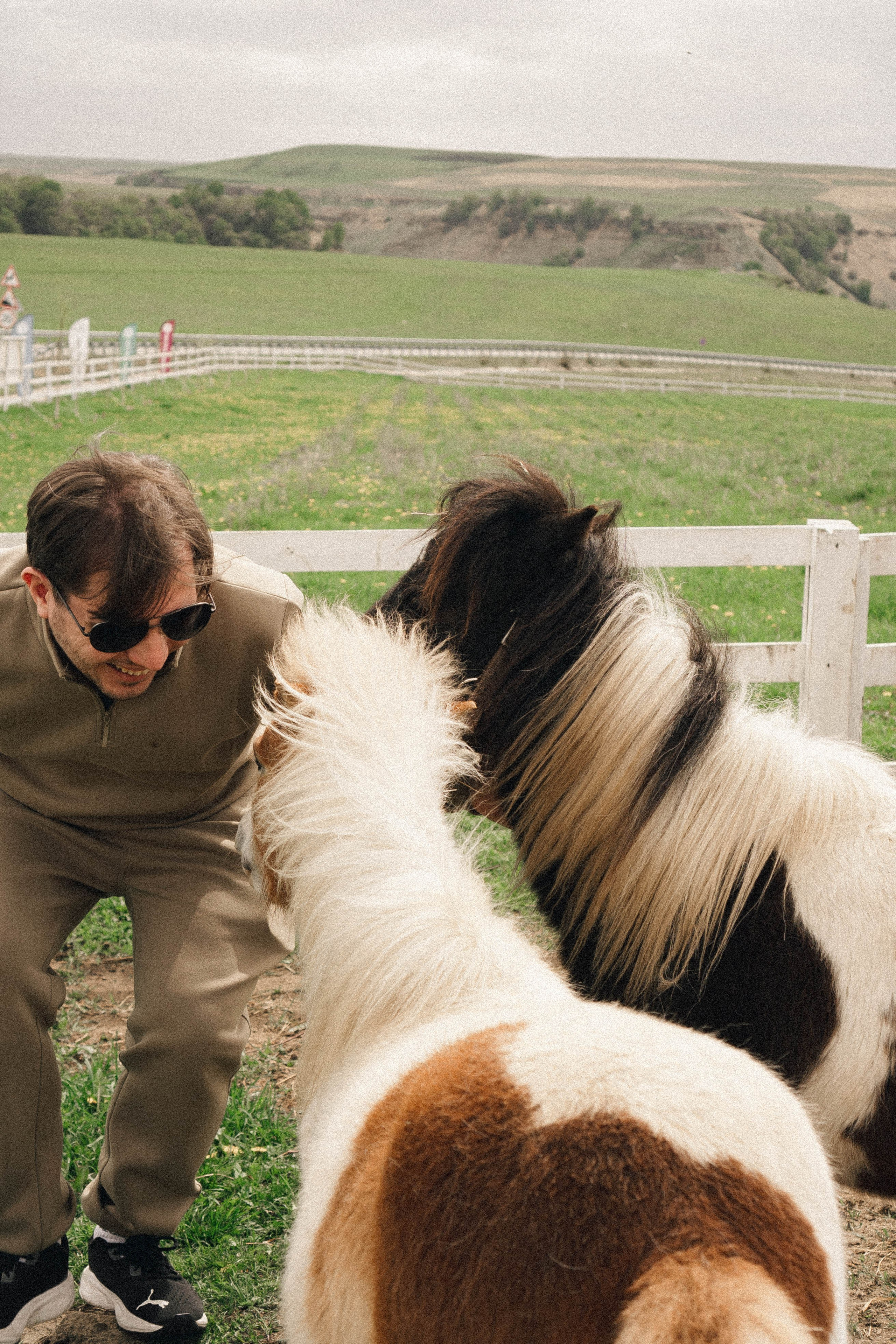 Ферма Альпак. Профессиональный фотограф, Санкт-Петербург — Виктория Богомолова