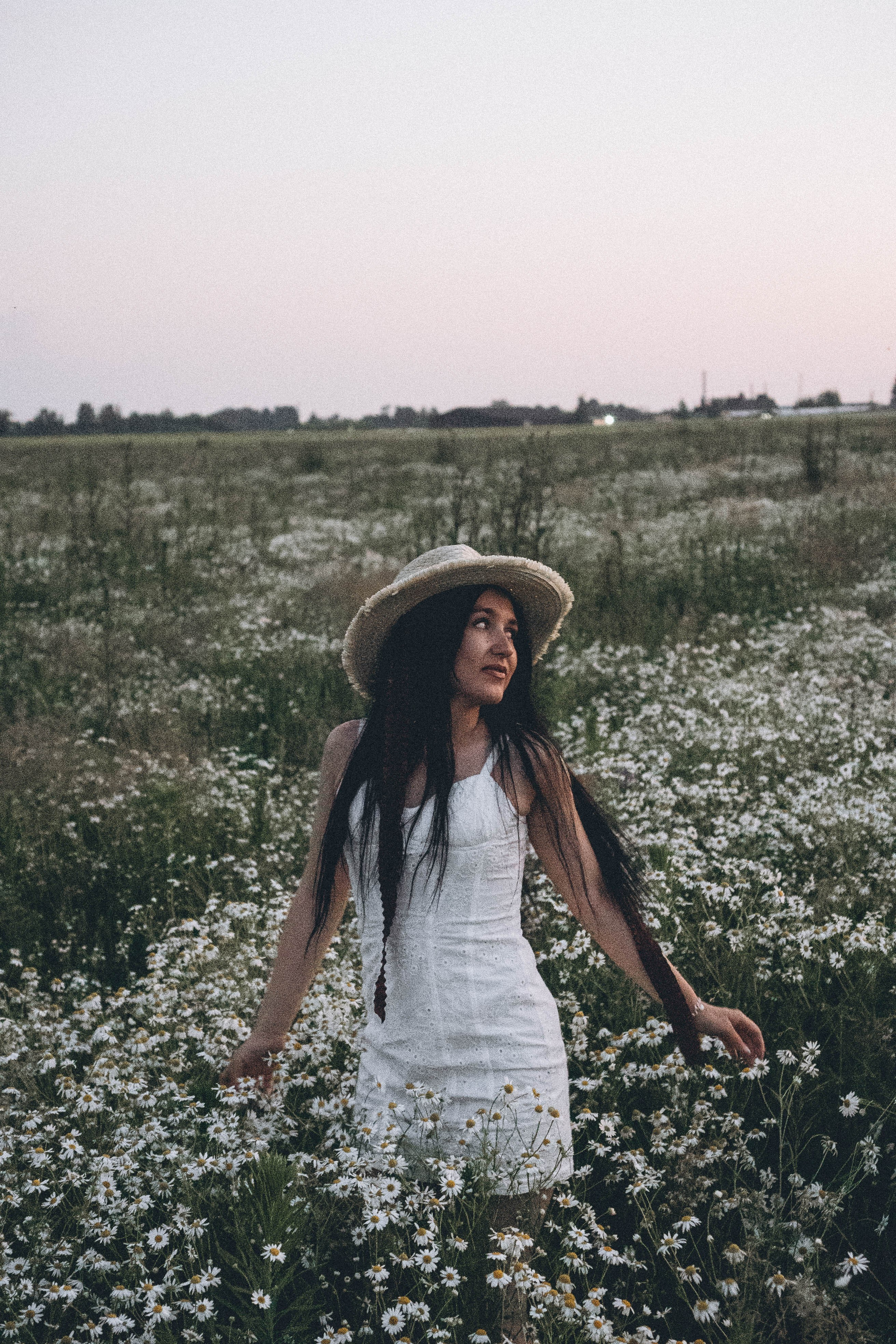Ромашковое поле. Профессиональный фотограф, Санкт-Петербург — Виктория Богомолова