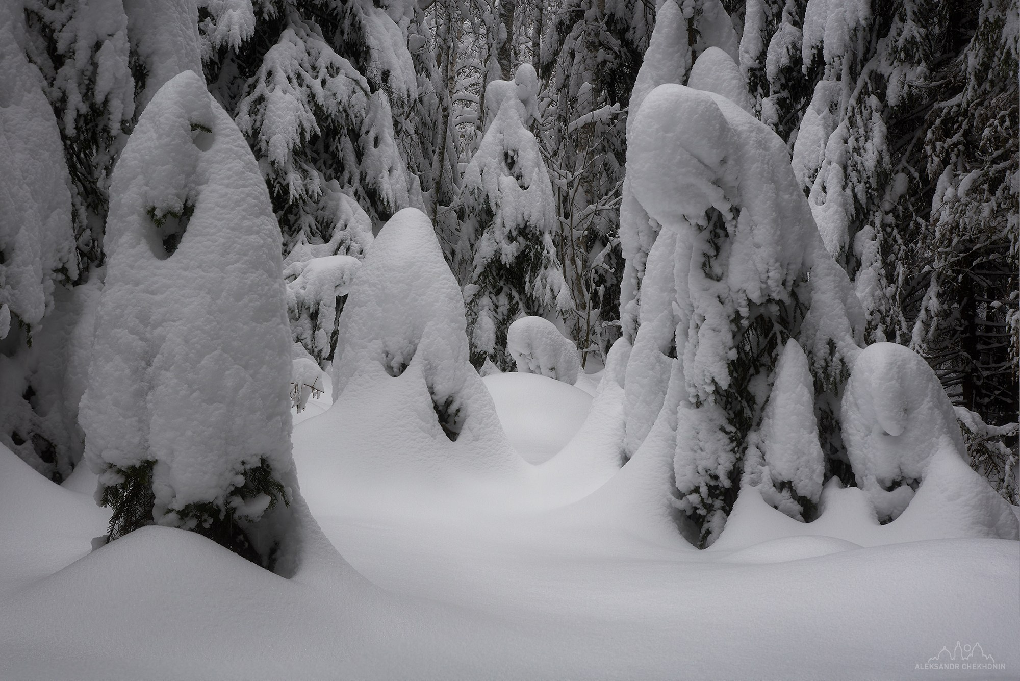 Пейзаж. Пейзажный фотограф Александр Чехонин