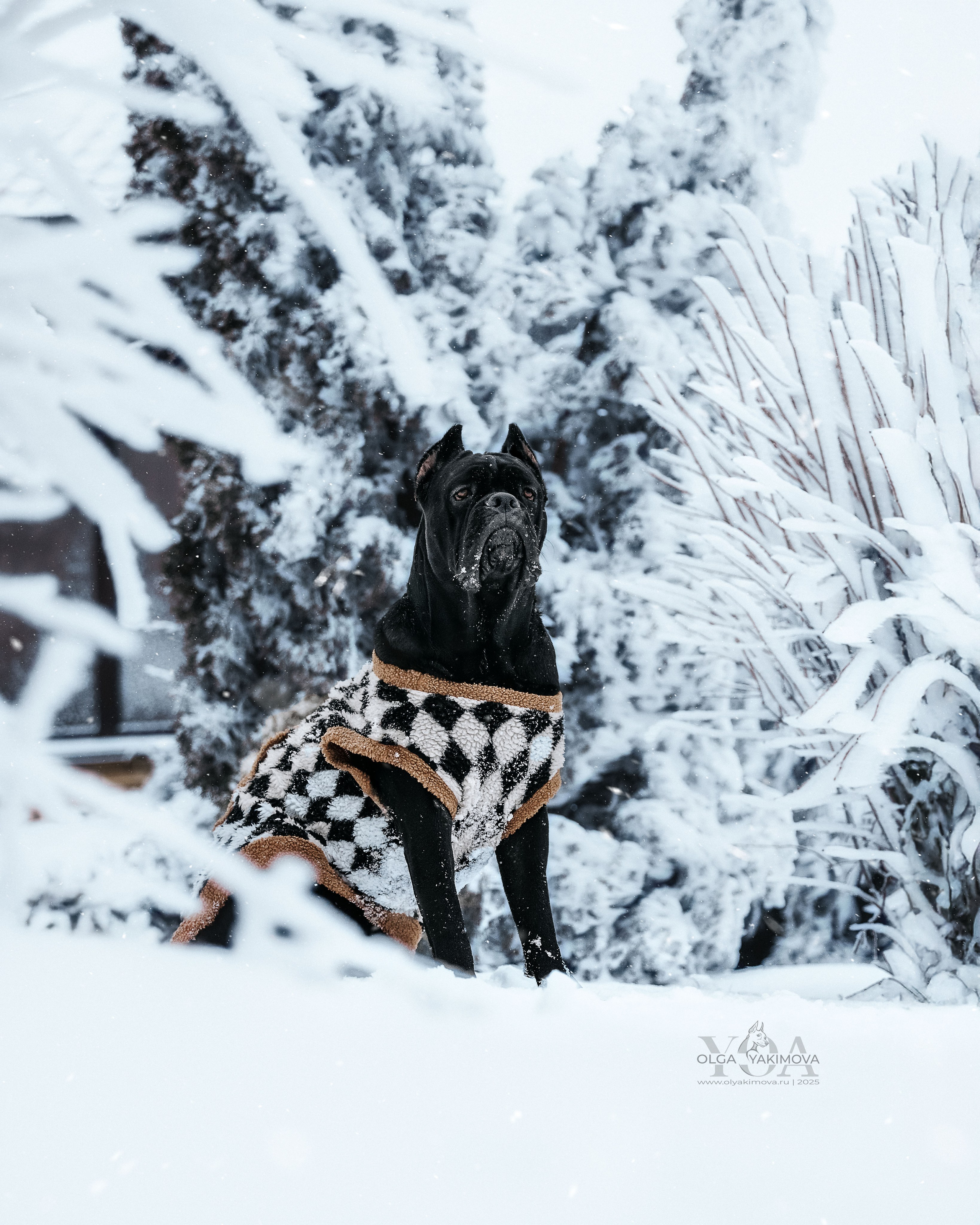 МАРИНА И САРА. Фотограф