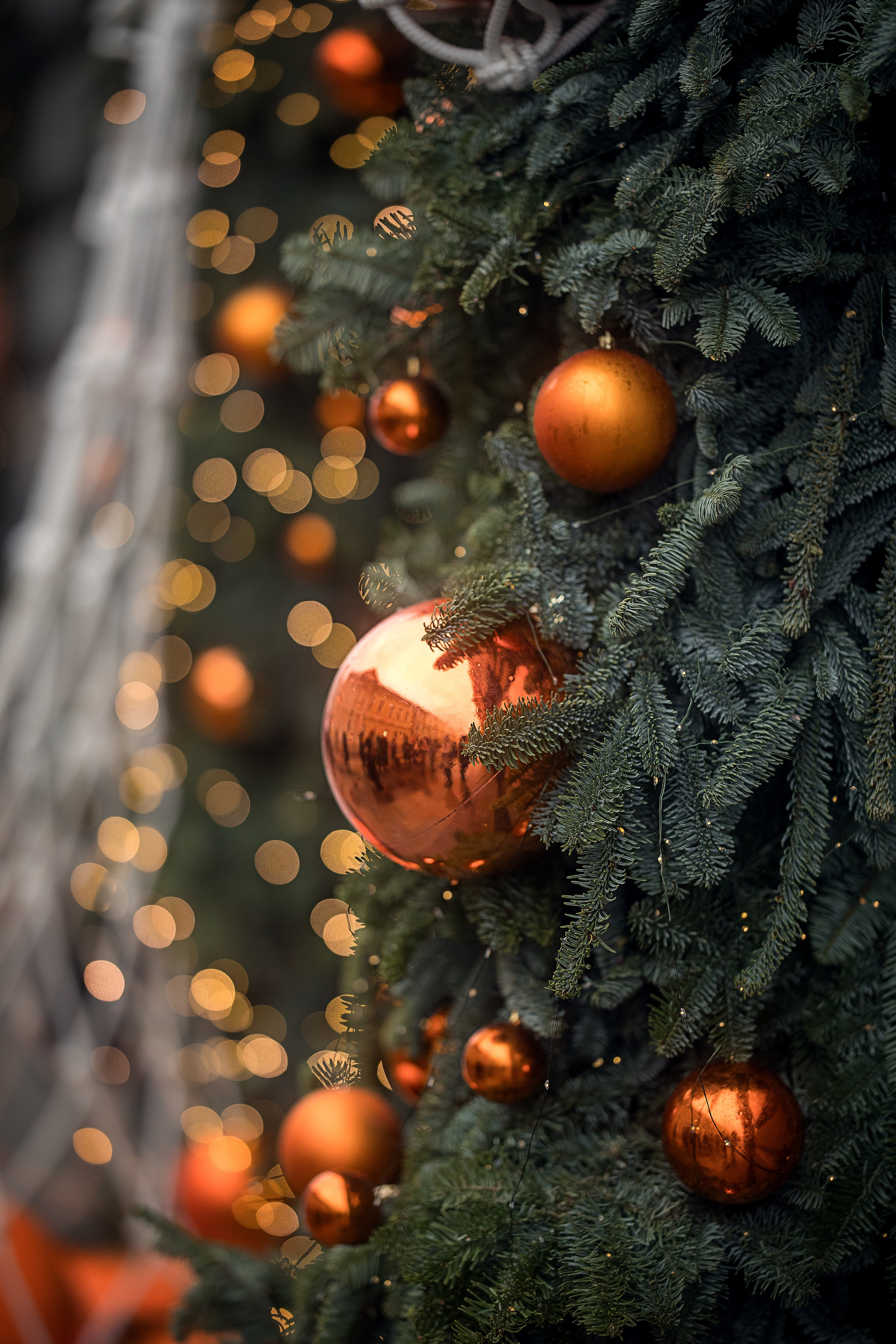 Таня. Семейный и детский фотограф В Москве Парамонова Екатерина