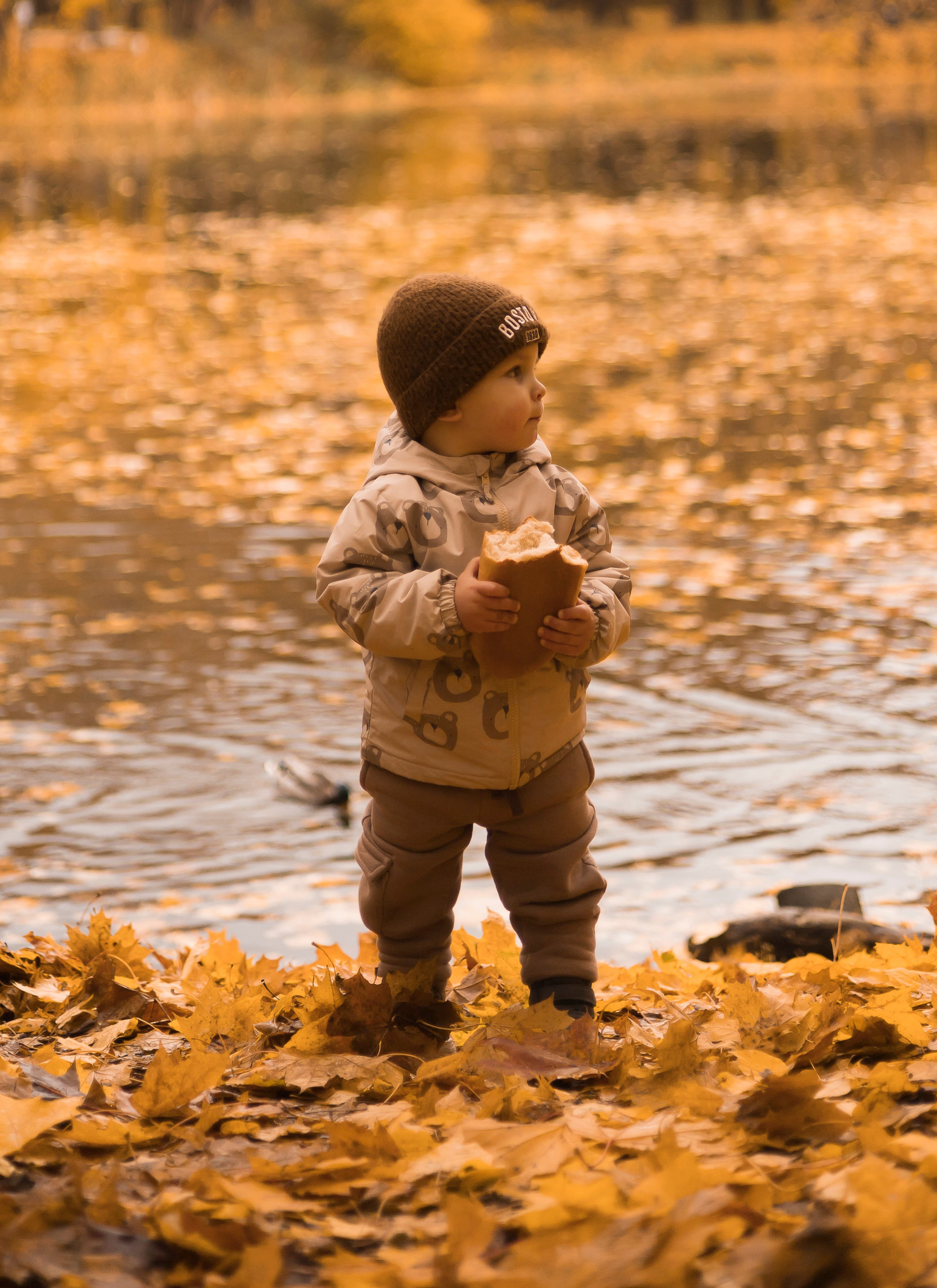 — Семейная фотосессия «Золотая осень»