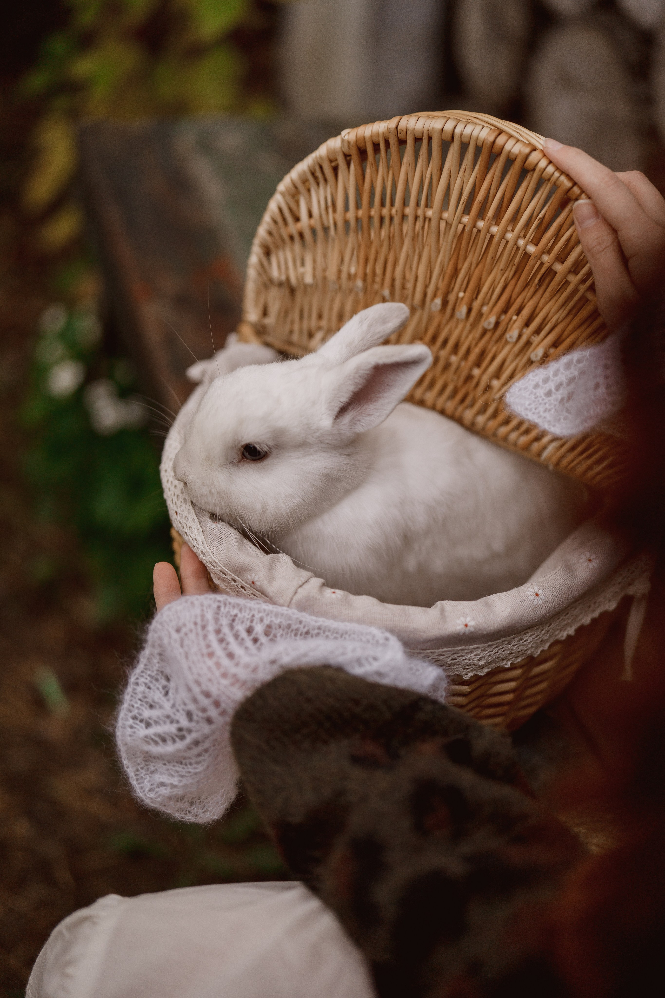 Дарья Дом Элли г. Пушкино. Семейный и детский фотограф в Сергиев Посаде, Хотьково Якимчук Любовь
