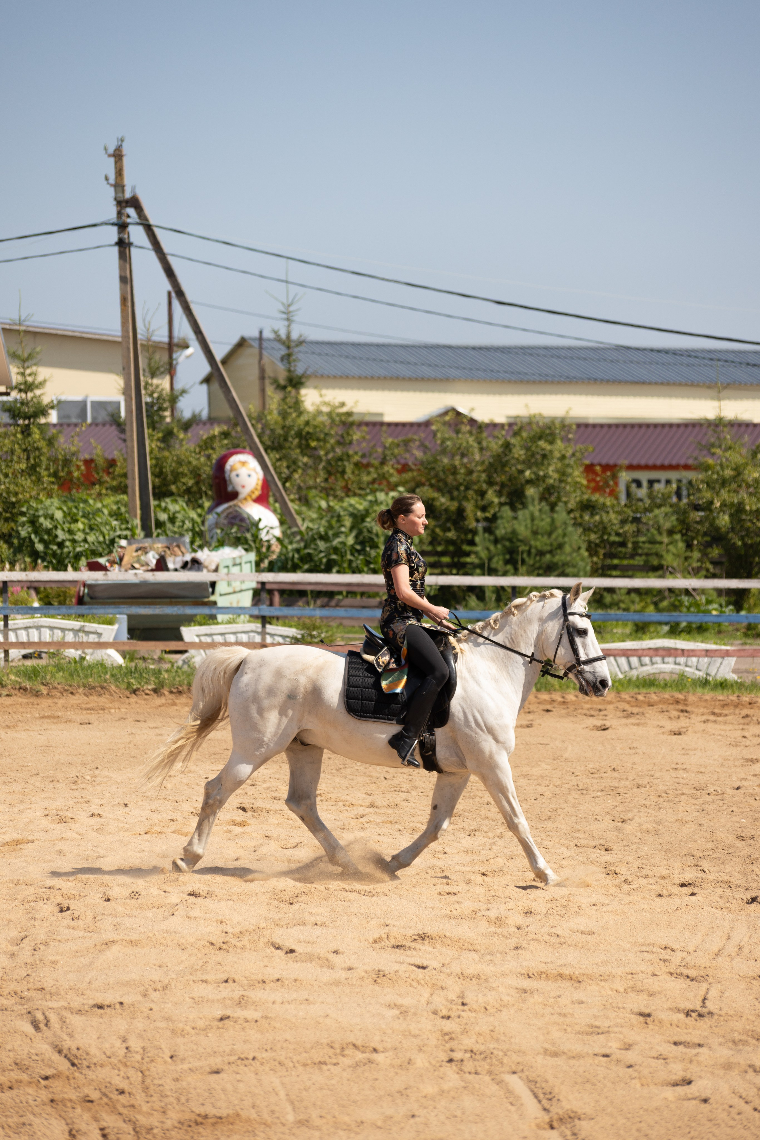 Конюшня. Фотограф в Москве и Истре