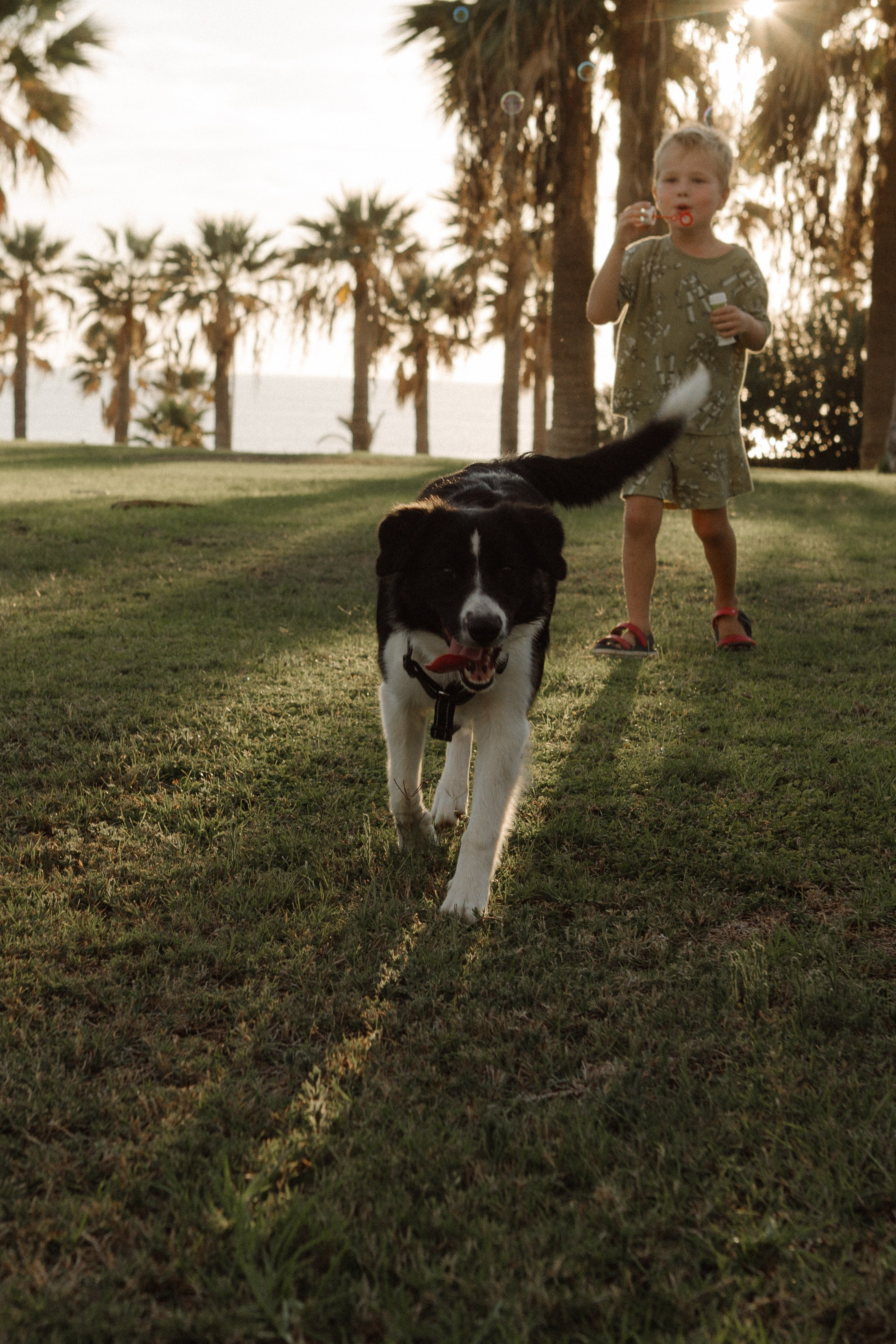 Melymko fam. Portrait, family and pet photographer in Cyprus, Ksenia Bourdelle