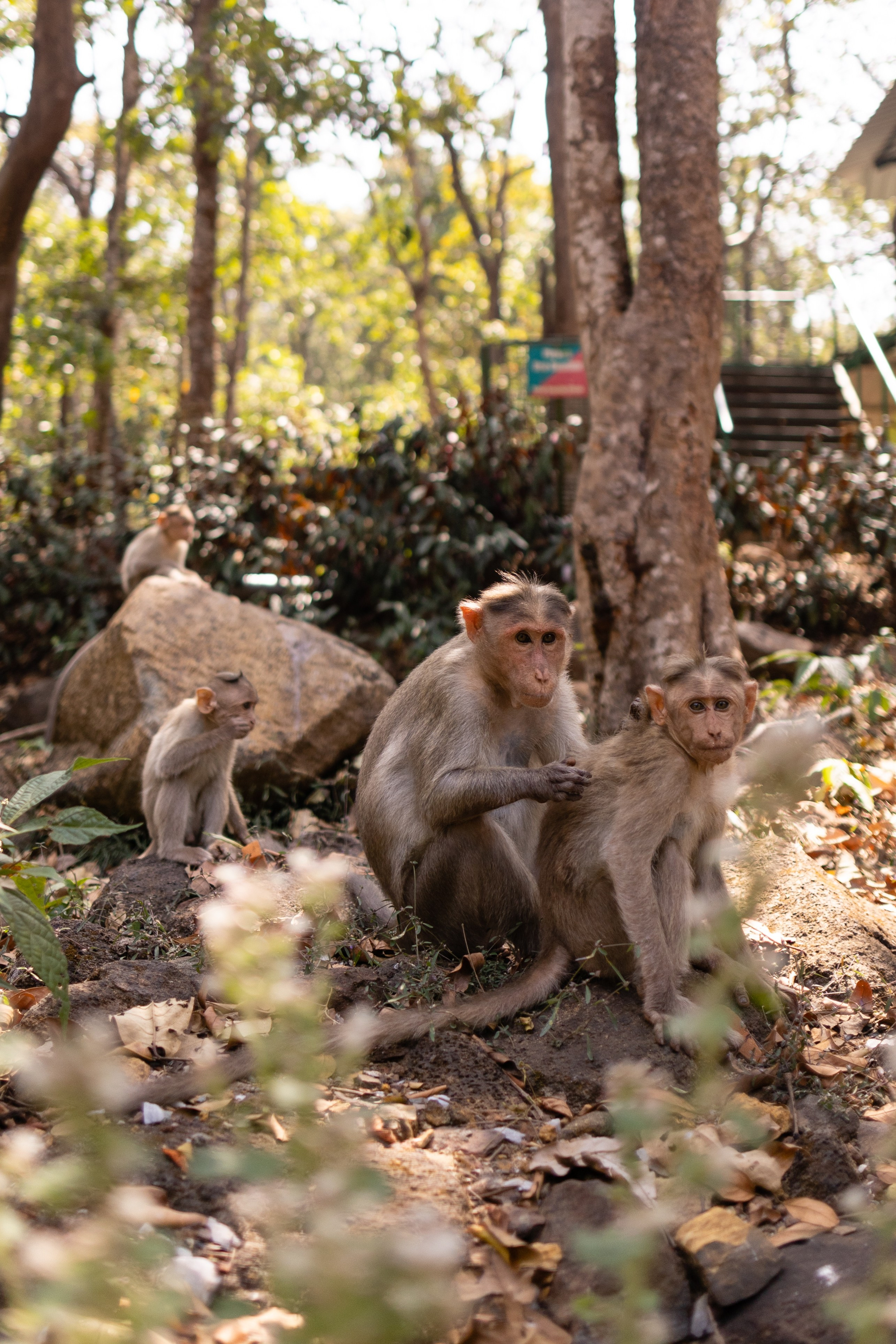 ГОА 2024. Руслан Плахтеев