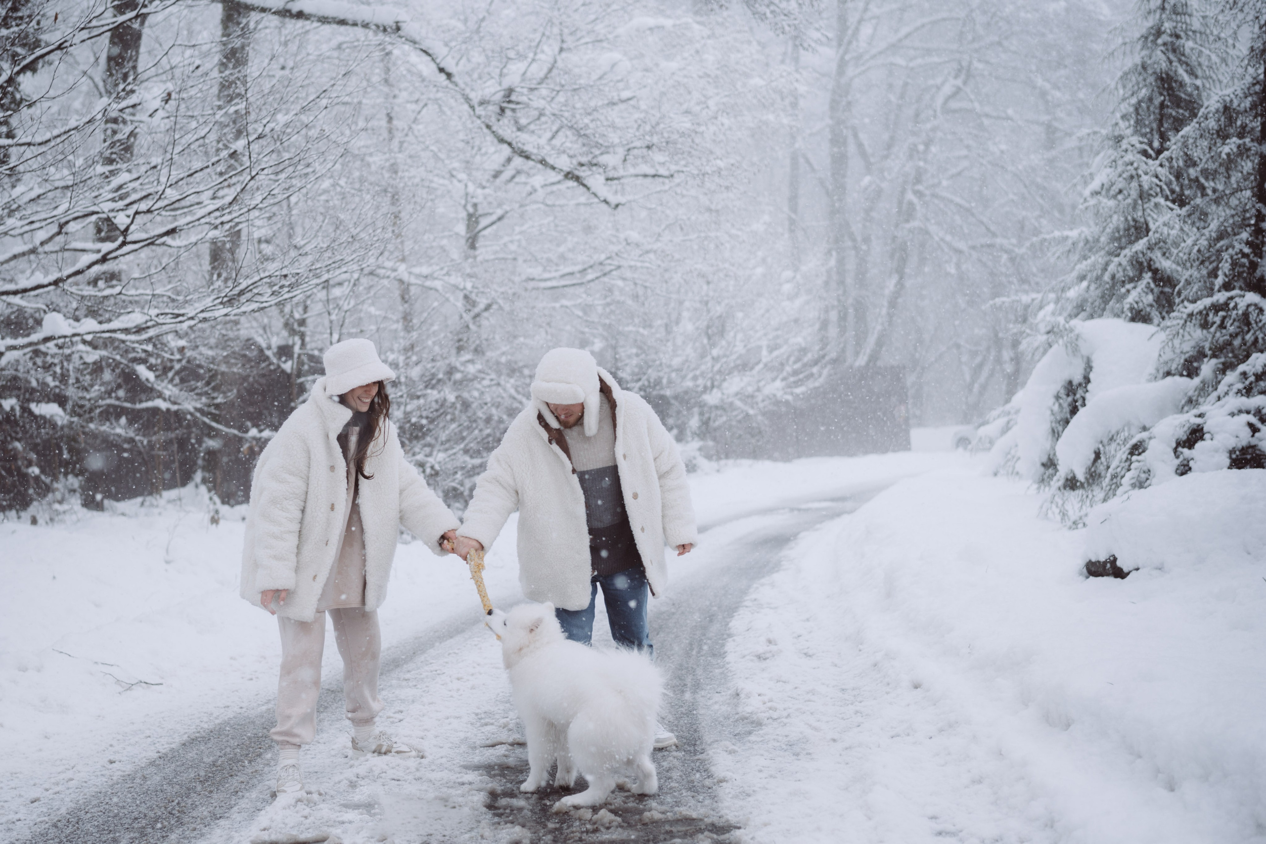 Антон, Дарья и Шани. Фотограф в Сочи Щетинина Анастасия
