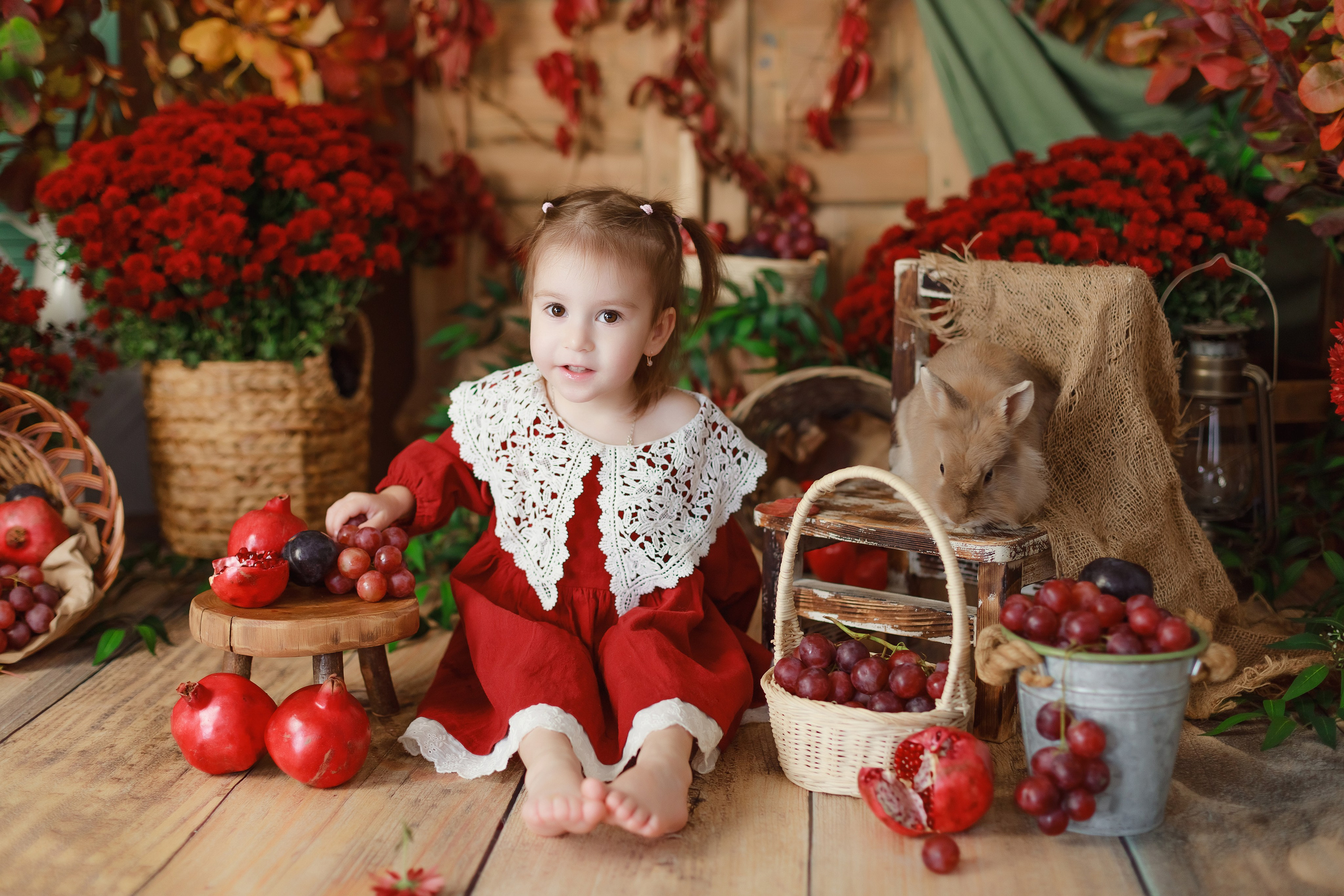 Гранаты 2024. Детский и семейный фотограф в Краснодаре Альбина Морозова