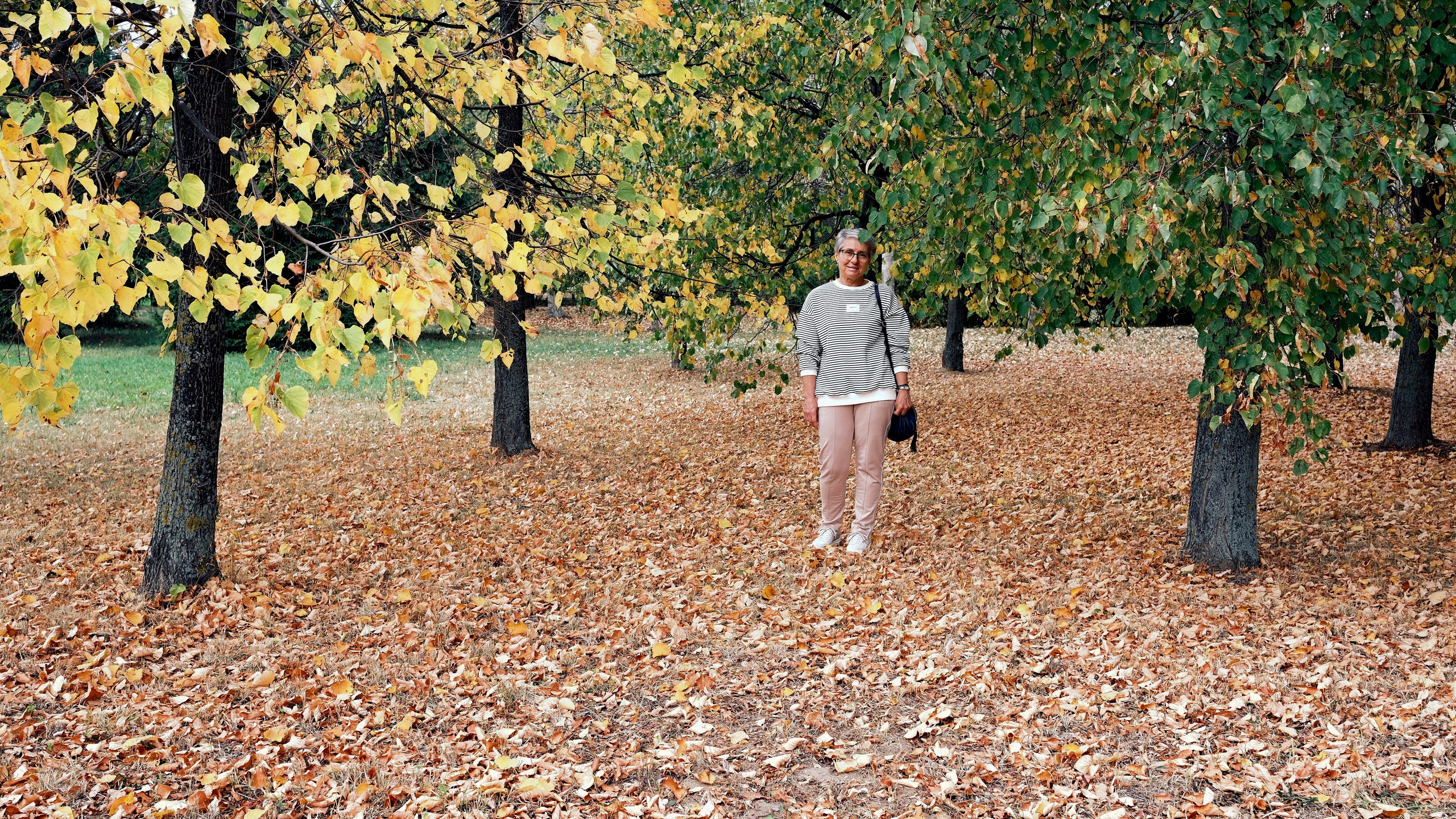 Осень 2023. Улица, люди, жизнь…