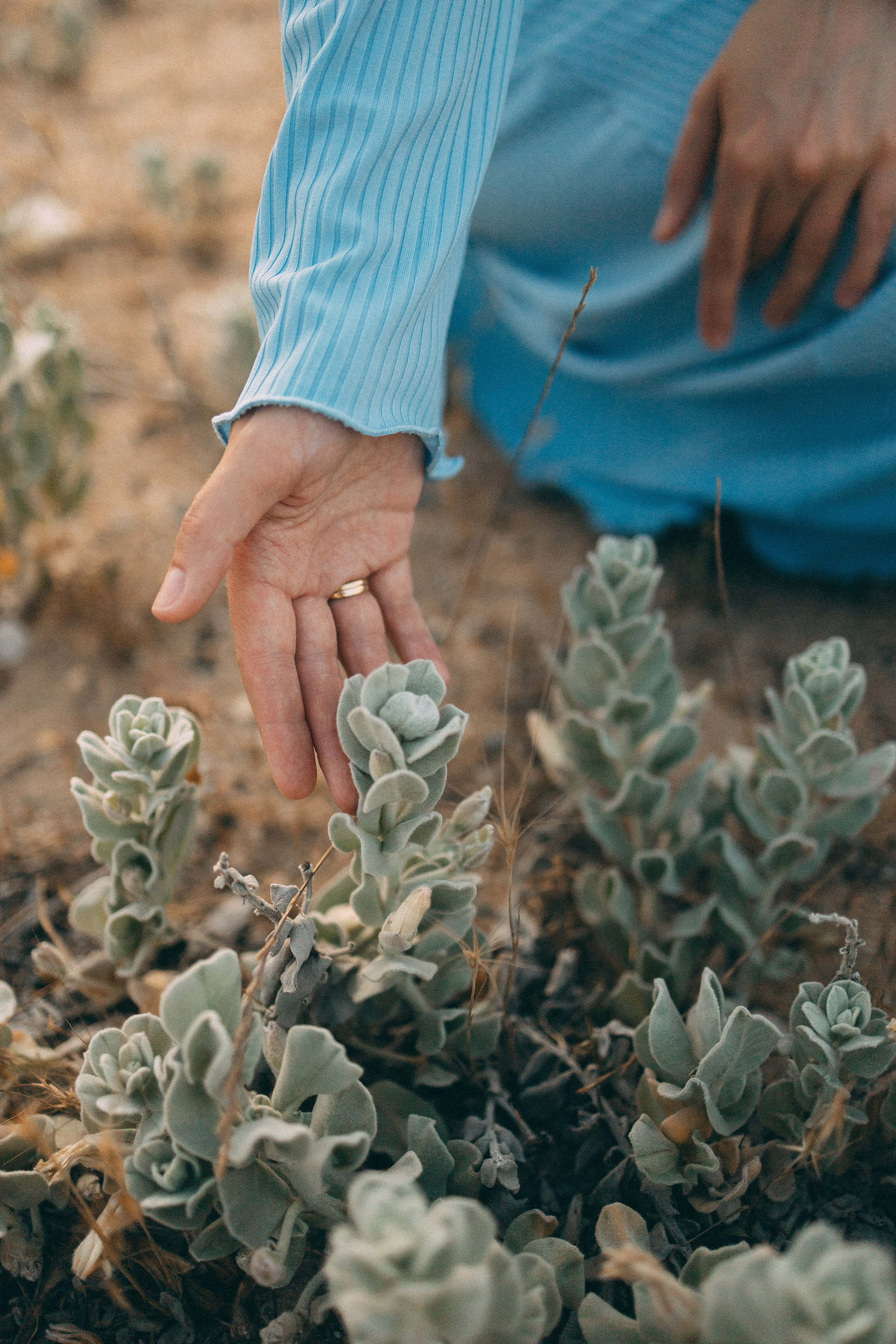 Закат на море. Фотограф в Дагестане Кира Молькова