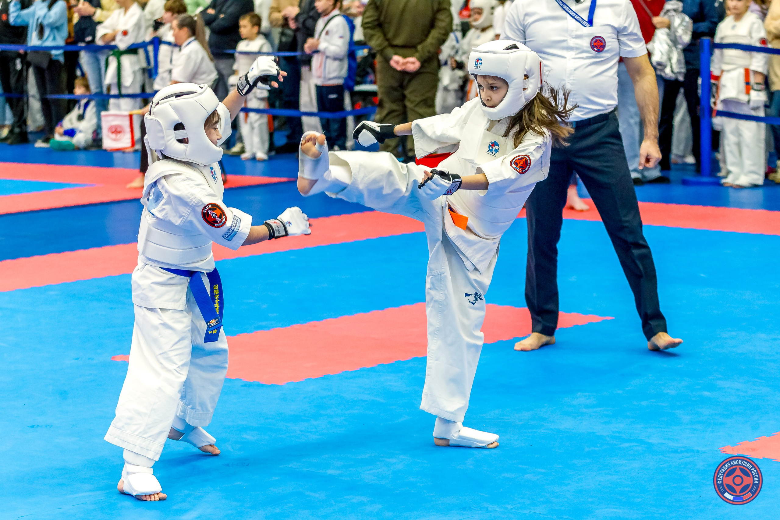 Международный турнир по киокушин «Открытый кубок Seiken». Репортажная съемка в Москве и области. Анималистика