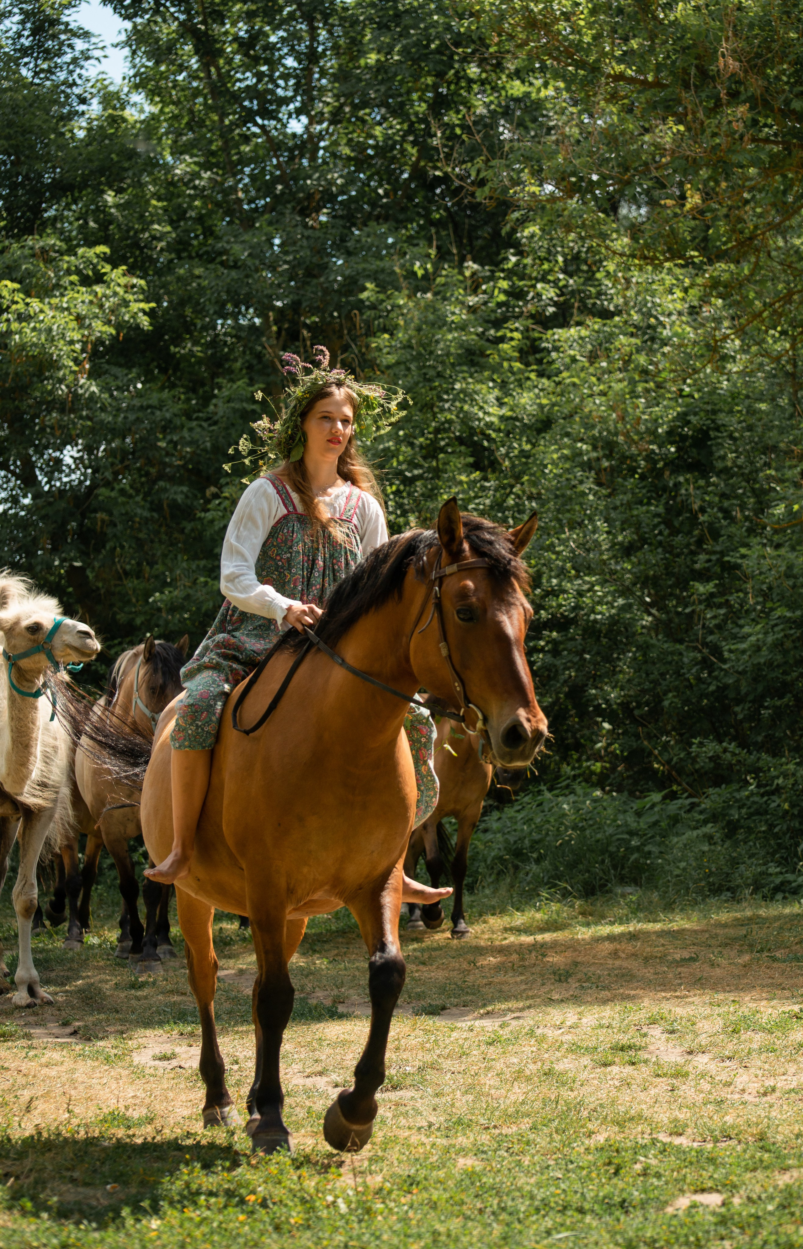 Купала в Родославном. Конный фотограф в Саратове Юлия Иванова