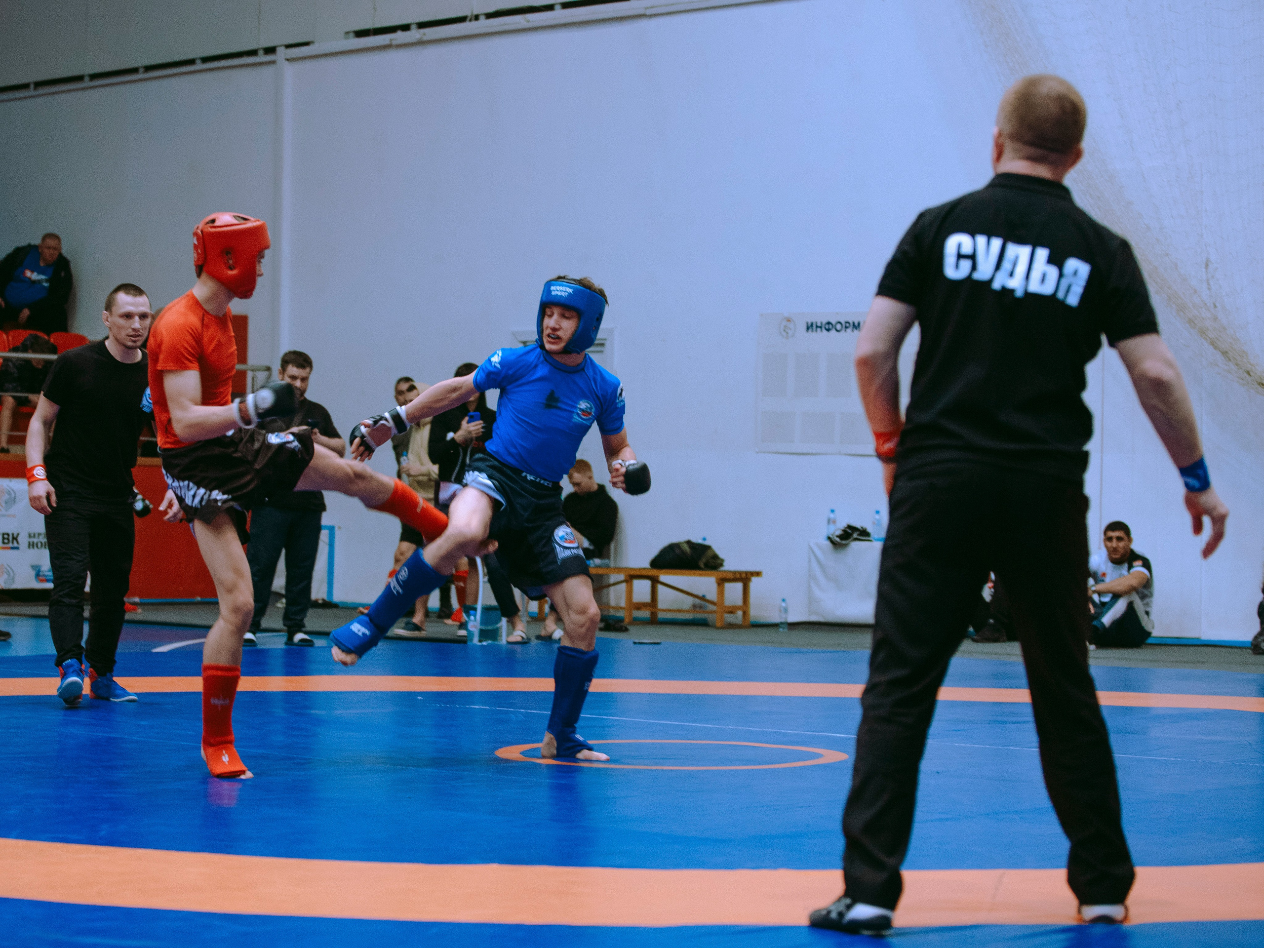 ПАНКРАТИОН | Чемпионат и первенство СФО | март `24. Портретный фотограф в Москве Дарья Цезария