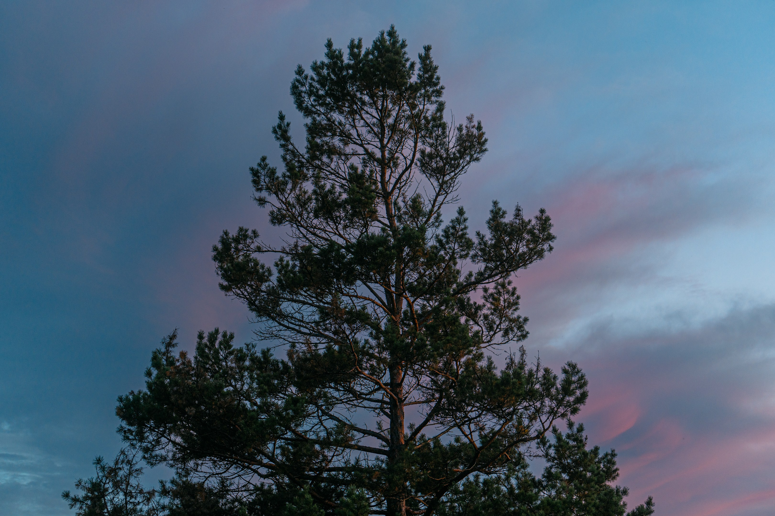 Майхинское хозяйство. Иван Зайцев (IZIART) — создание культурного кода через фото и видео