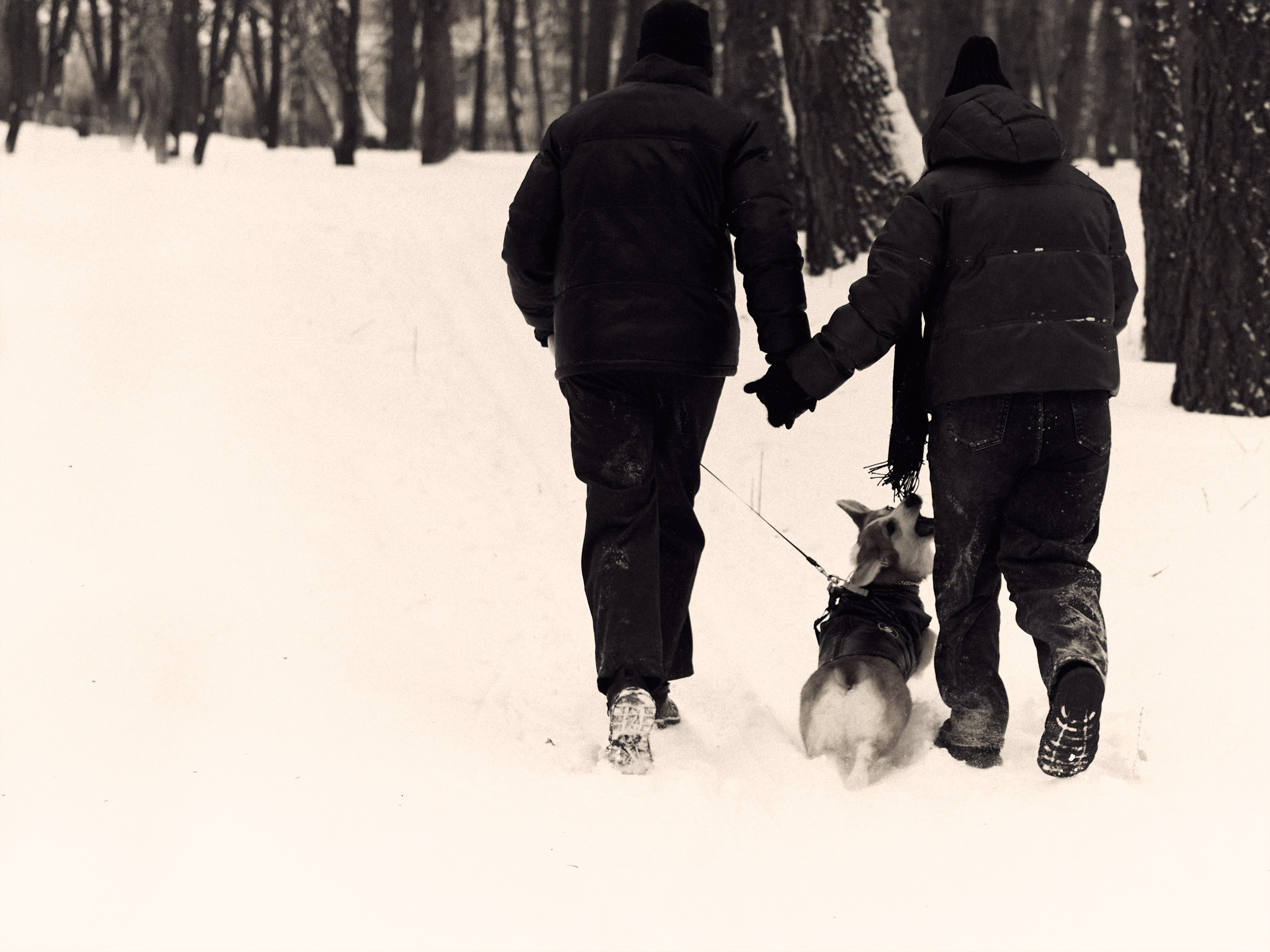 Арина и Динар малыш Рич. Фотограф и видеограф в Бугульме Аня Трутнева