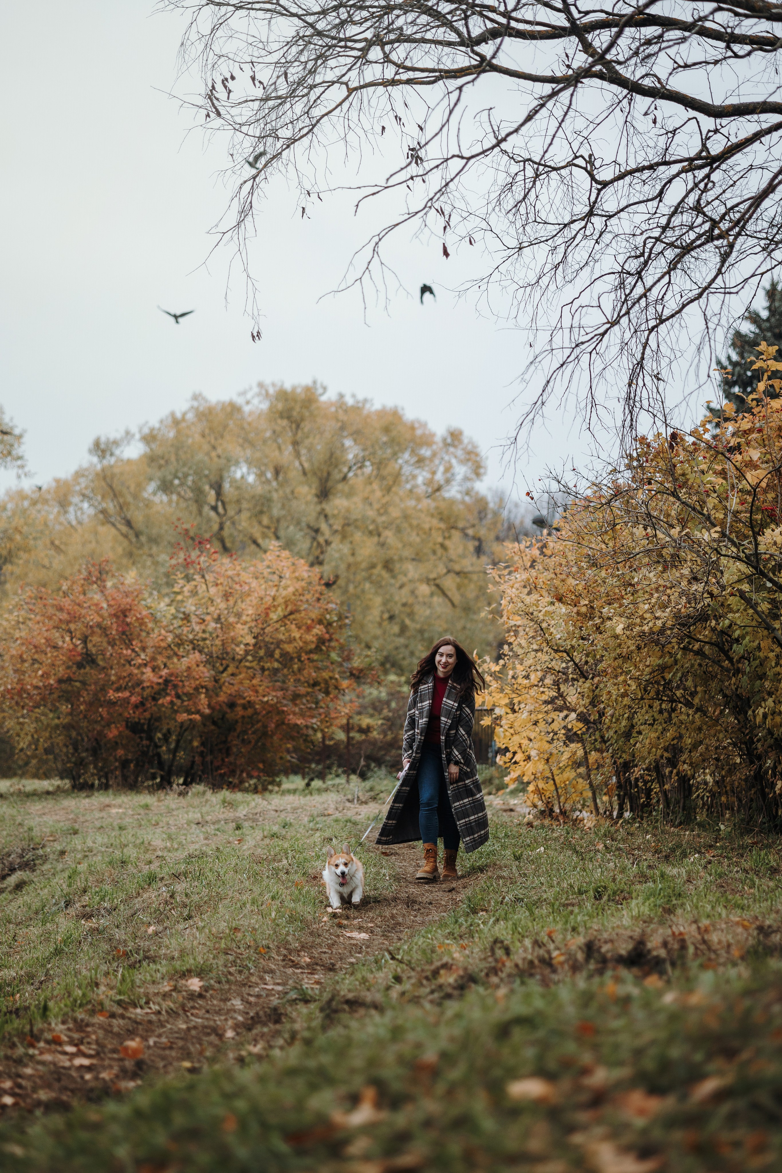 Юля и Терри. Фотограф — Анималист | Санкт-Петербург