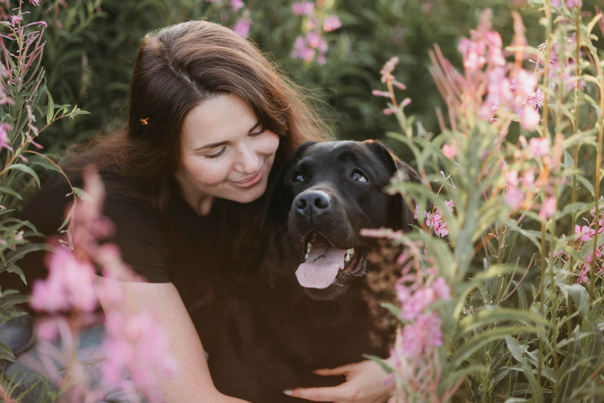 Бомбей и его семья. Фотограф — Анималист | Санкт-Петербург