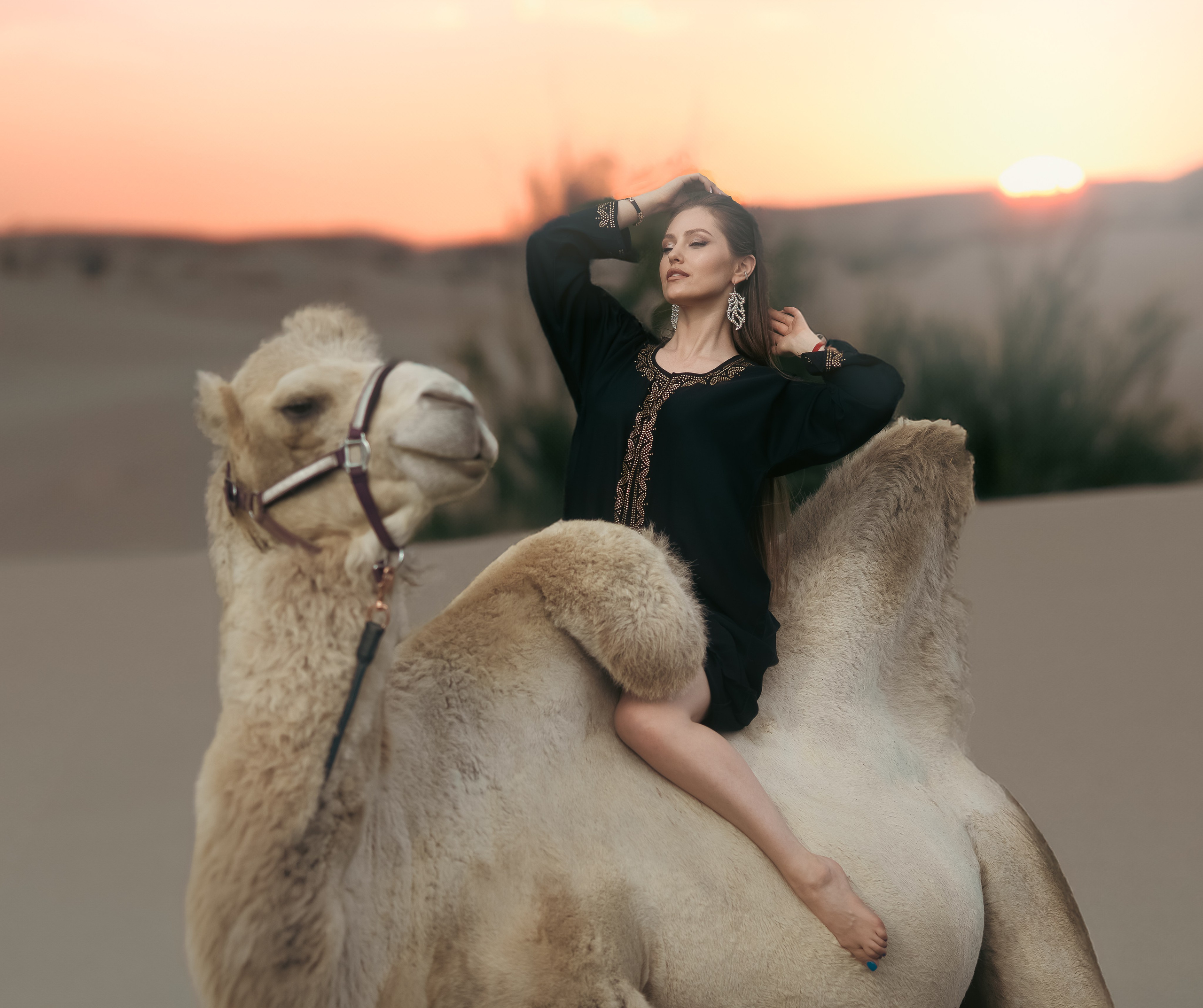 Разные животные. Профессиональный фотограф в Москве Марина Григорьева