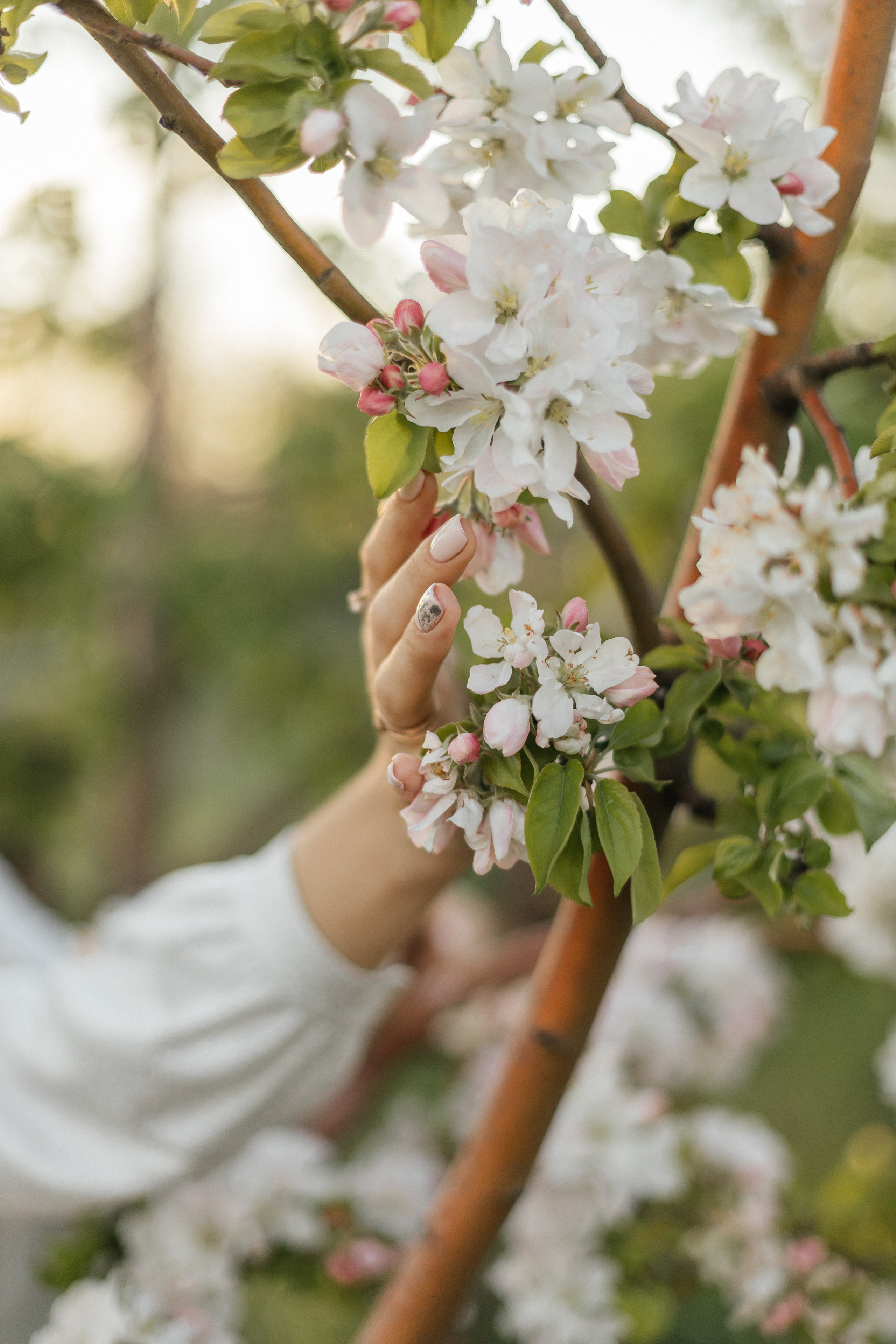 Алла. Фотограф Таганрог Любимая Надя