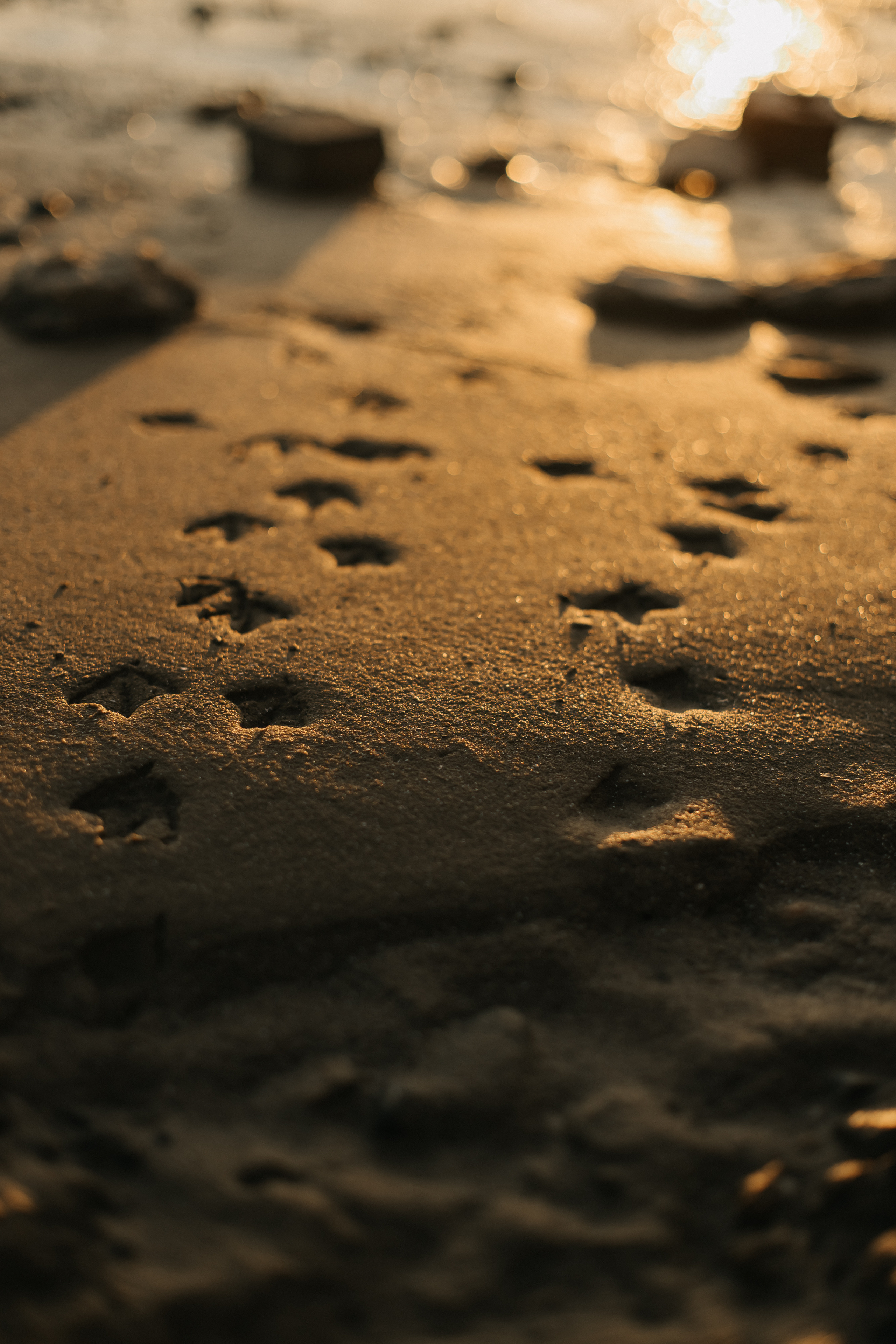 Алена. Фотограф Таганрог Любимая Надя