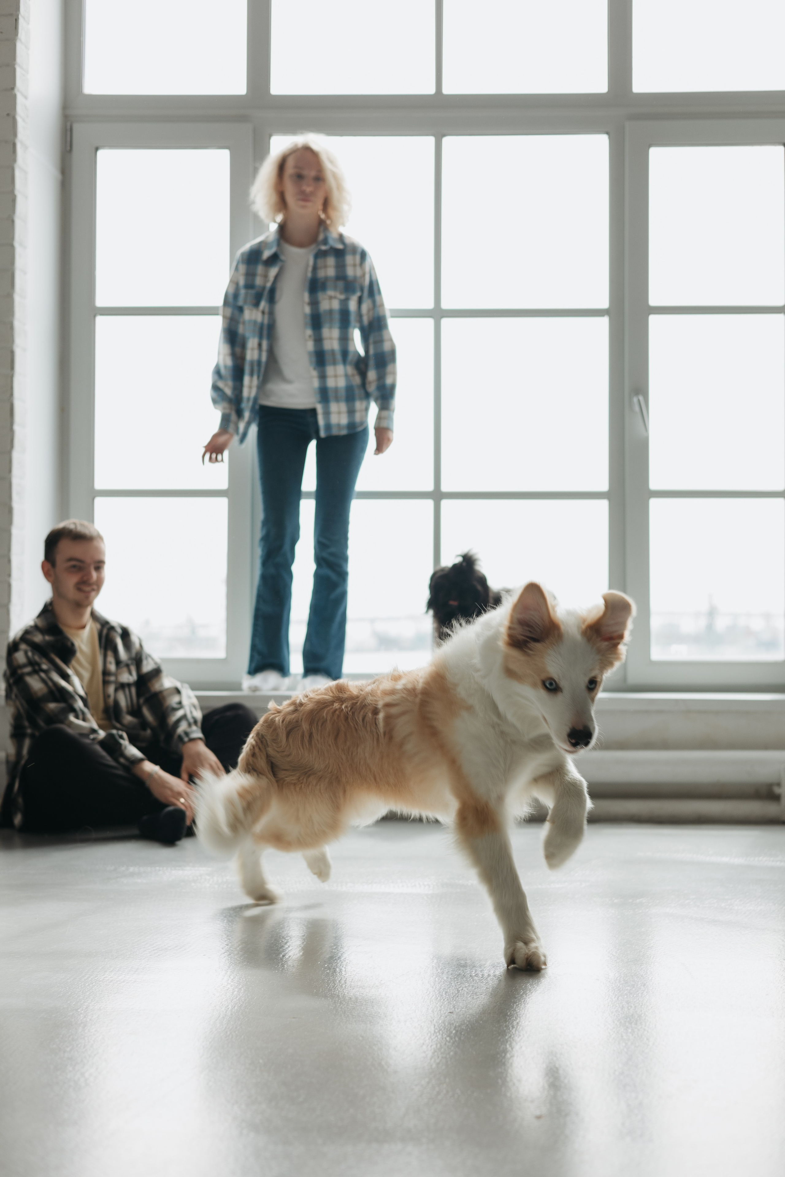 Анна и Павел, Джерри и Чиз. Фотограф животных Евгения Верцинская