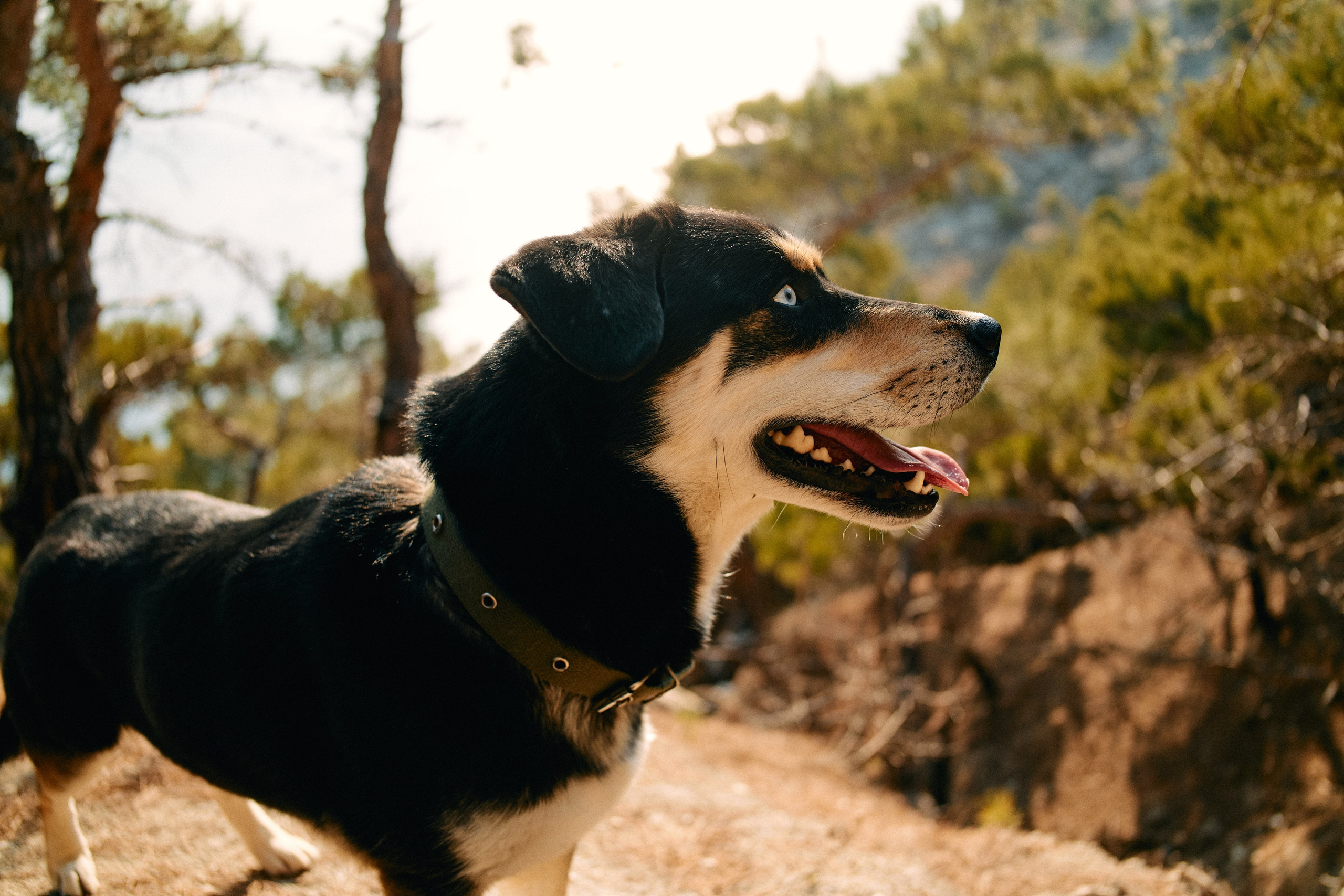 Юг России. Профессиональный Фотограф во Владимире, в Москве и в Суздале — Полина Романычева