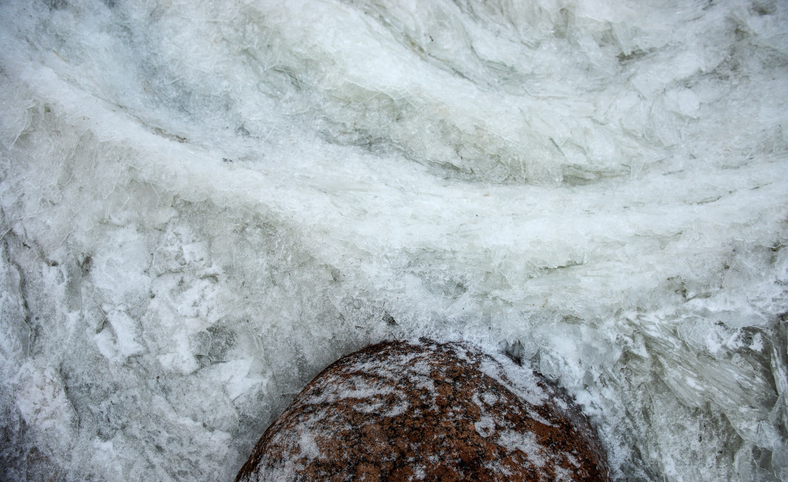 Landscape, nature, plants, details of the world around us. Personal website of photographer Dmitry Raikin