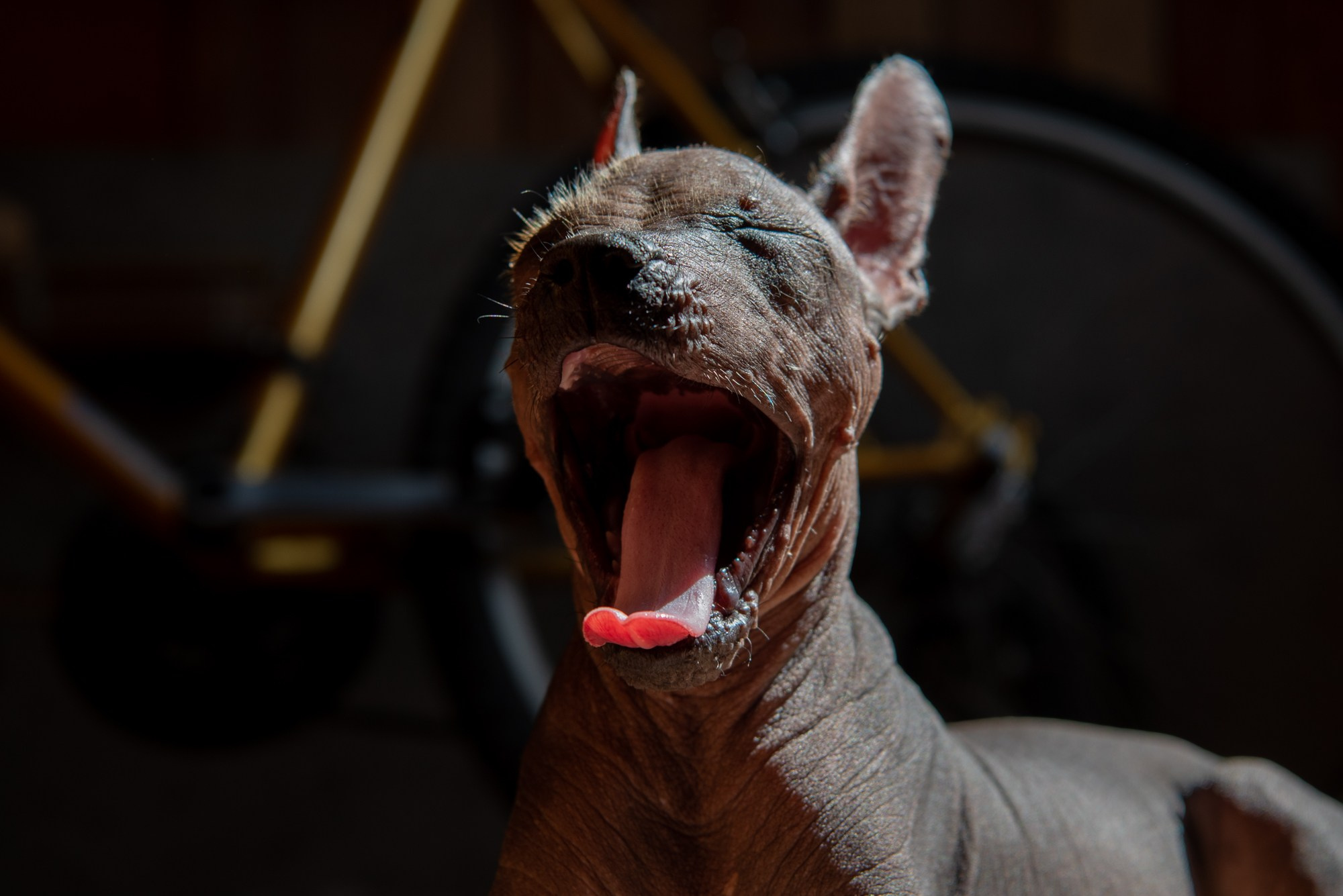 Мексиканец Герман. Фотограф в Москве Виктория Назаренко