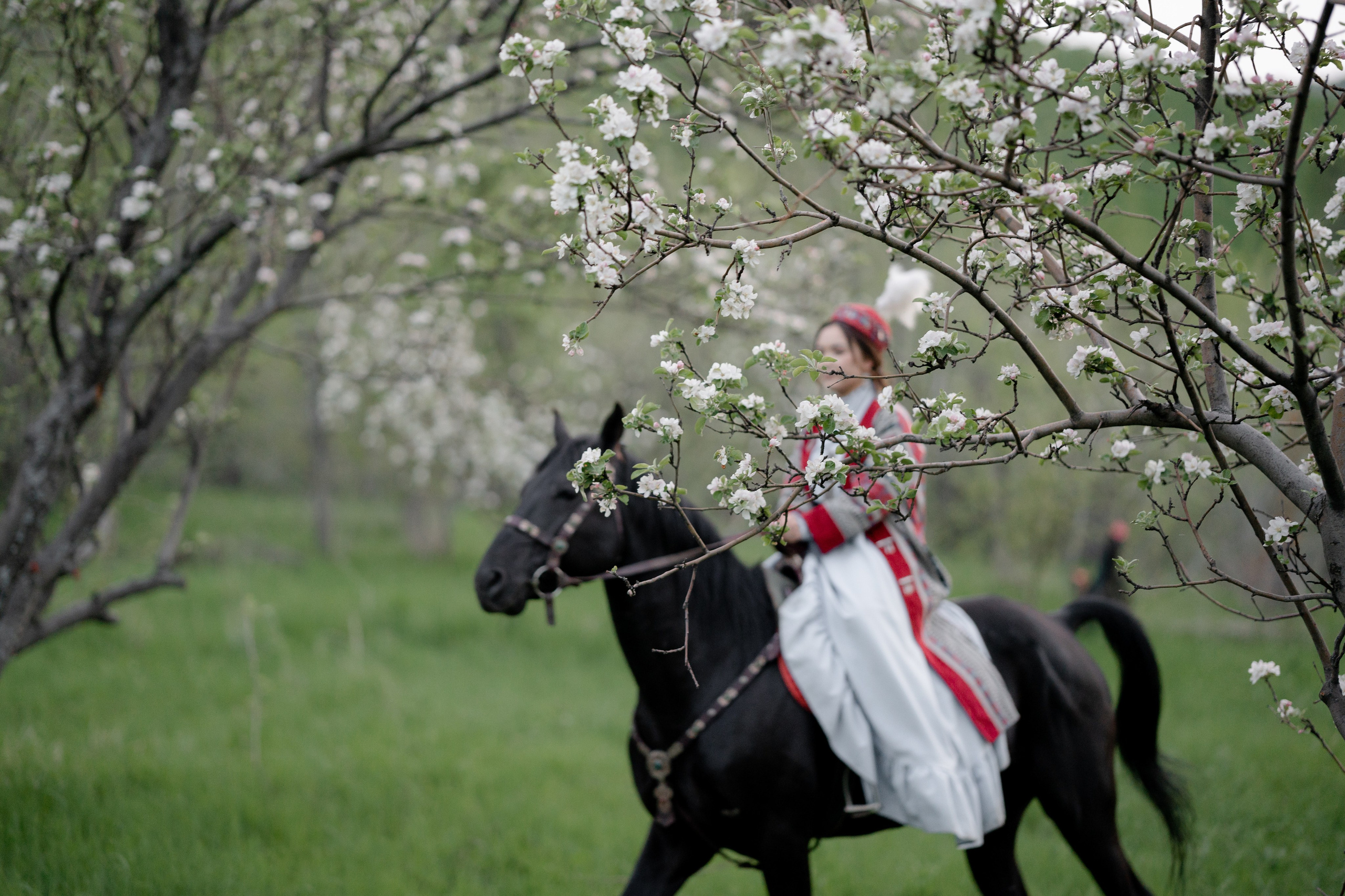 Shattyq Uzatu. Galam media