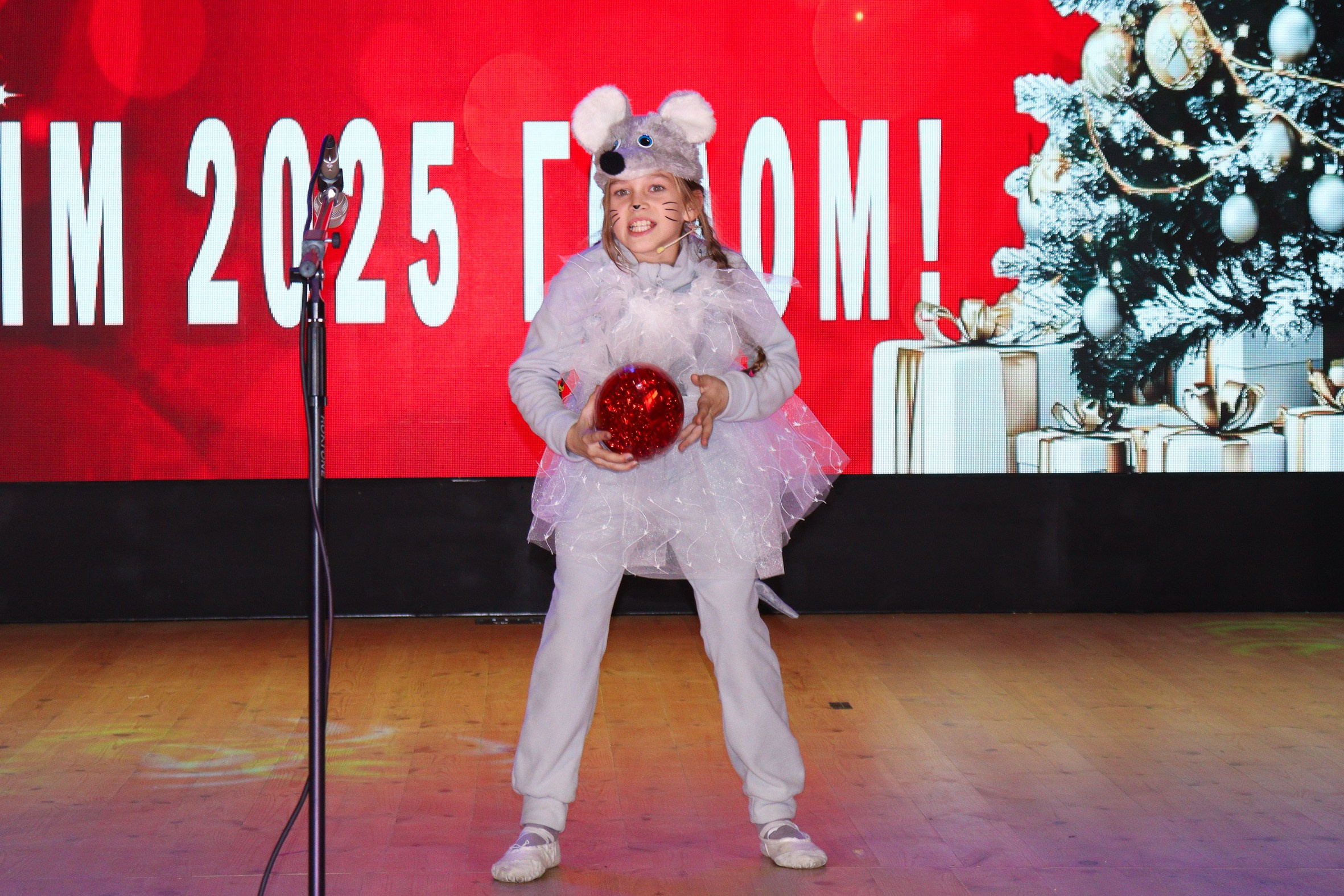 Новогодний концерт Шишли-Мышли