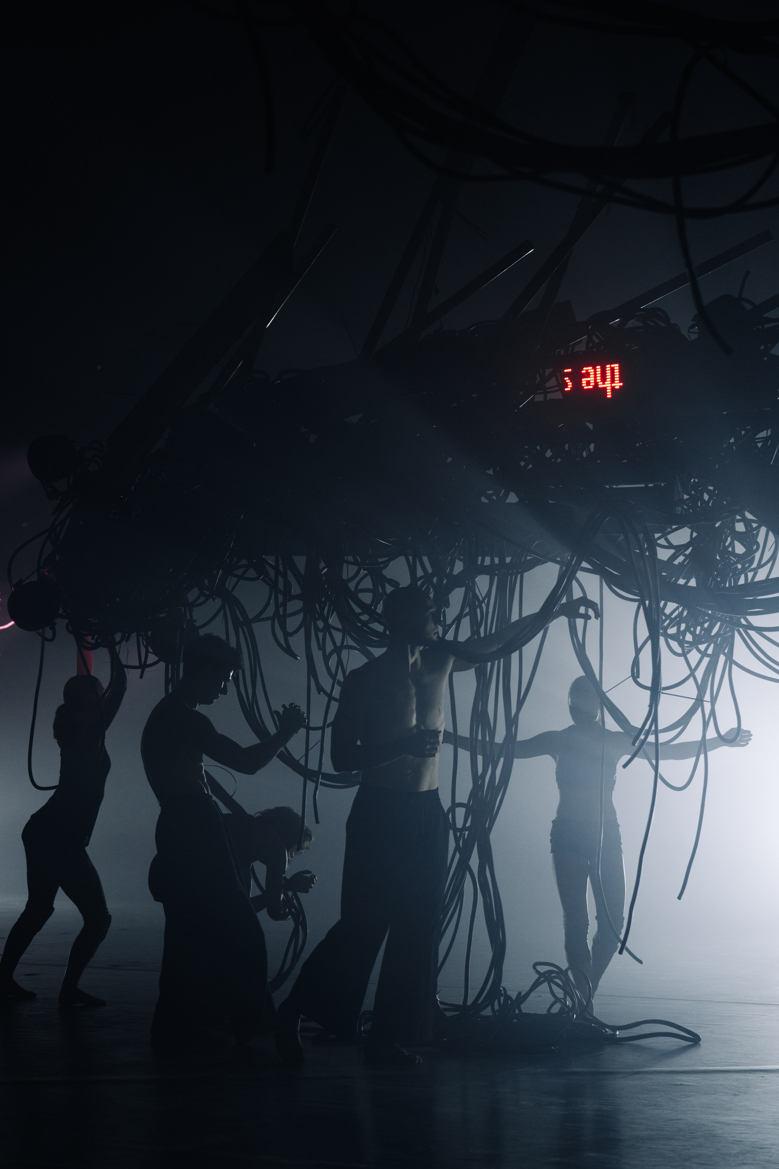 PERFORMA, The Hour of the Horse. @tomrus: Рустам Шагиморданов — фотограф