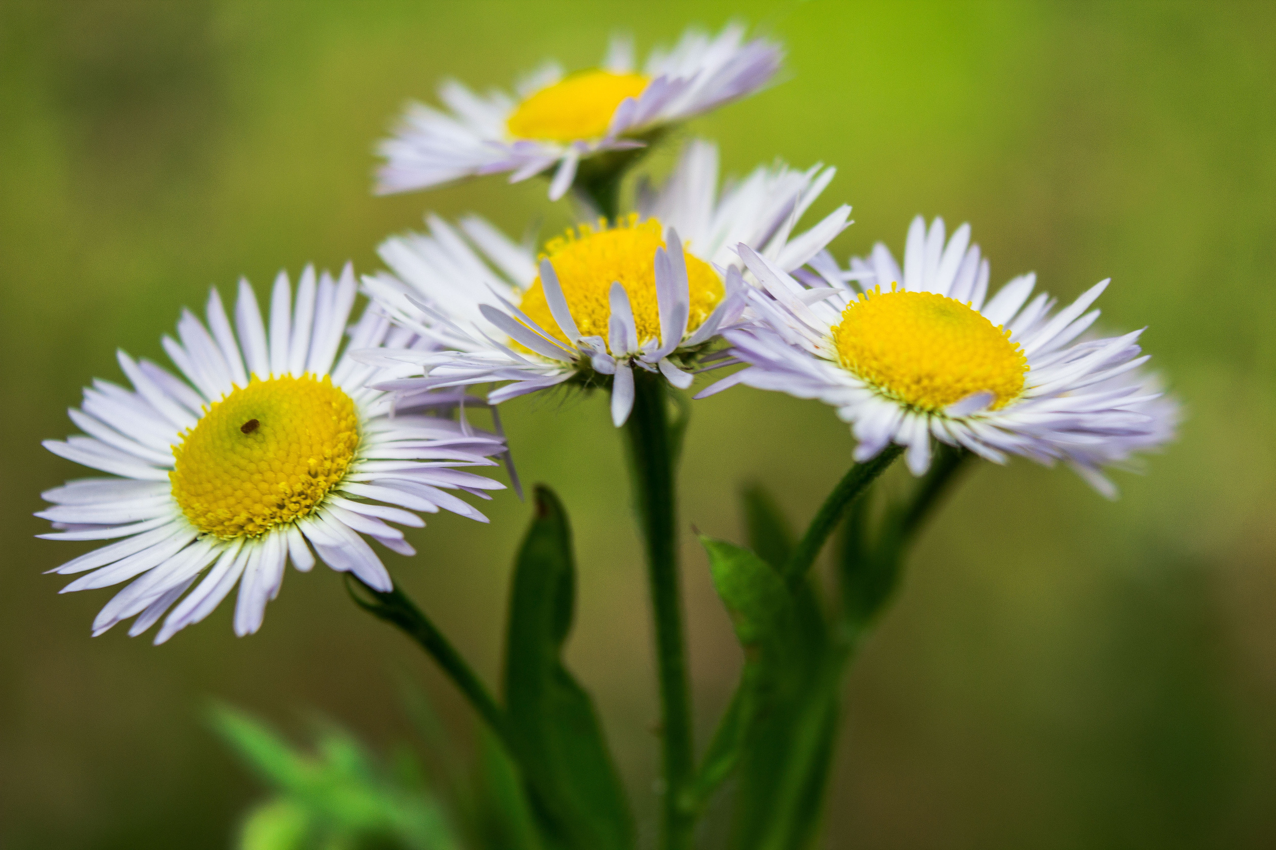 Природное. Обо всём