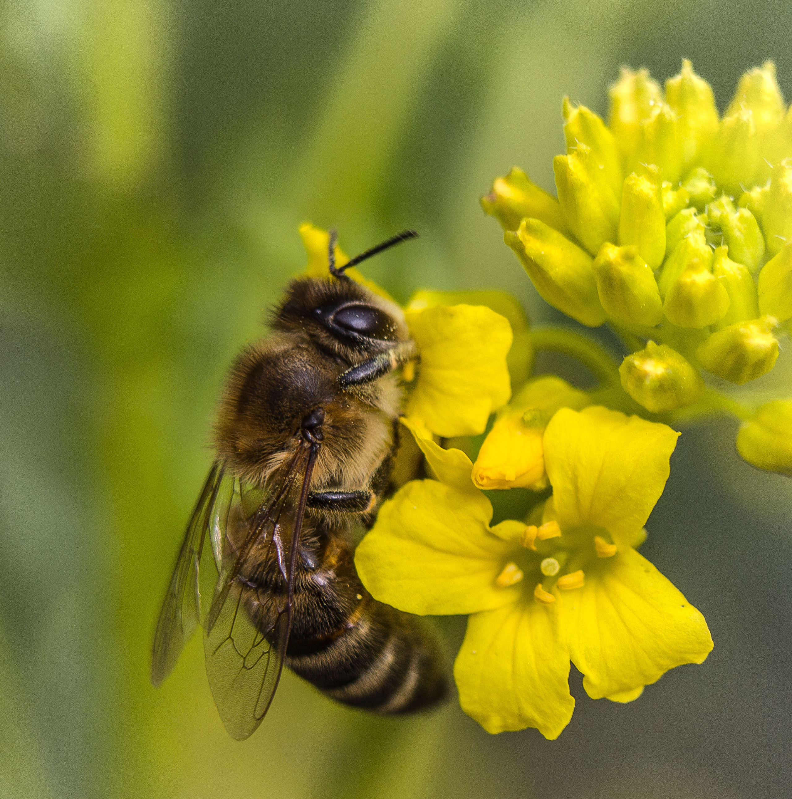 Макро. Обо всём