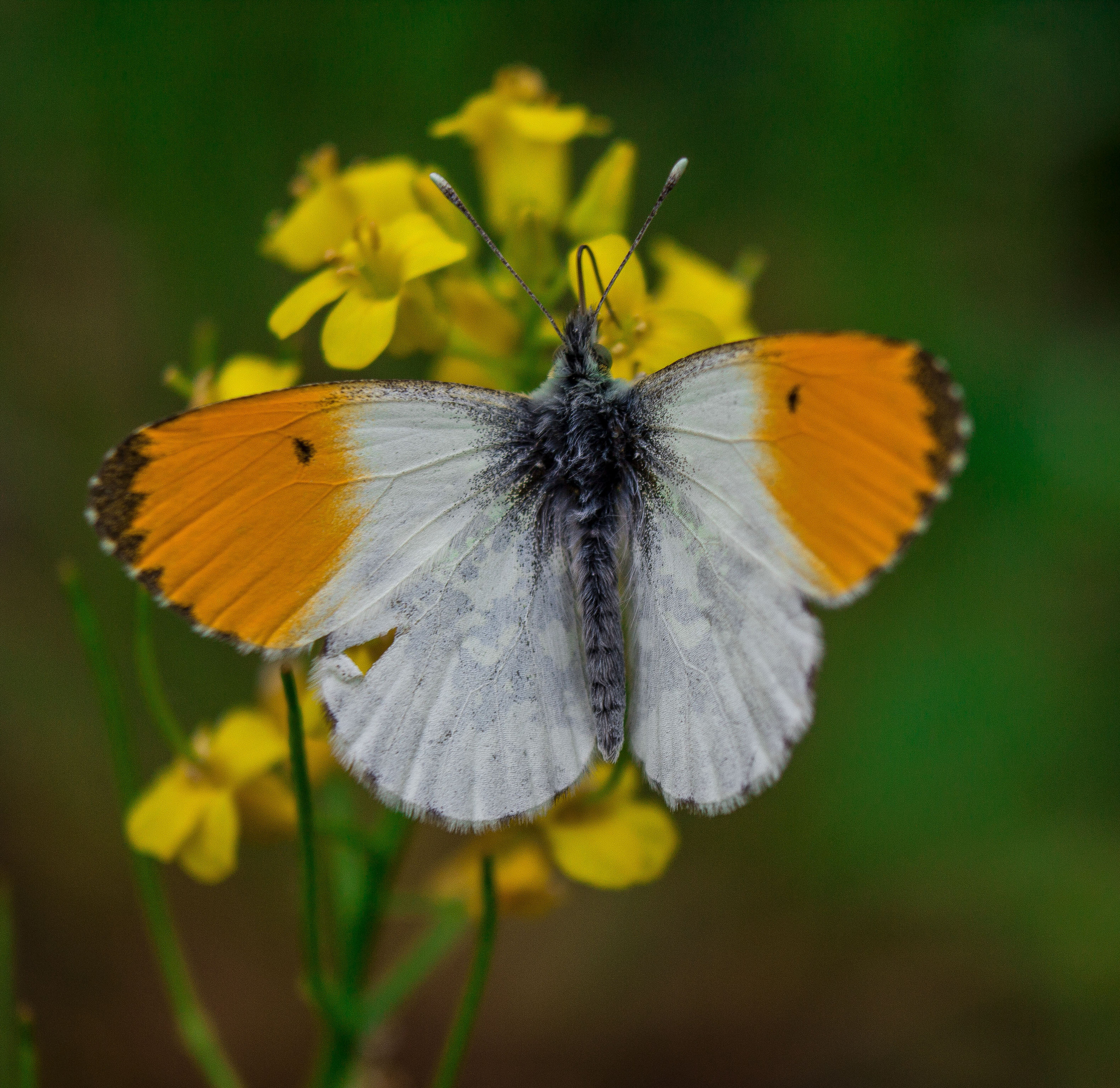 Макро. Обо всём