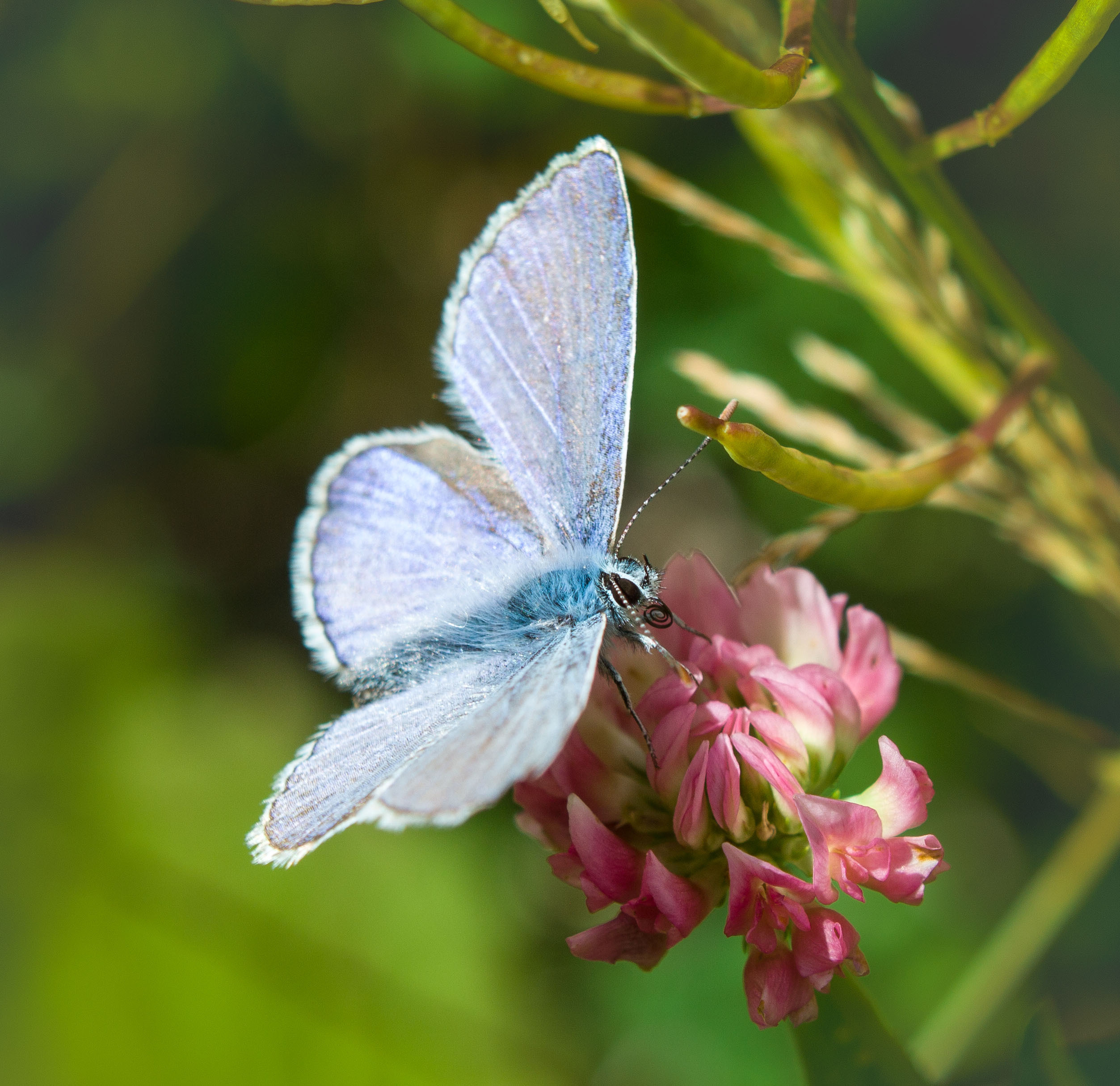 Макро. Обо всём