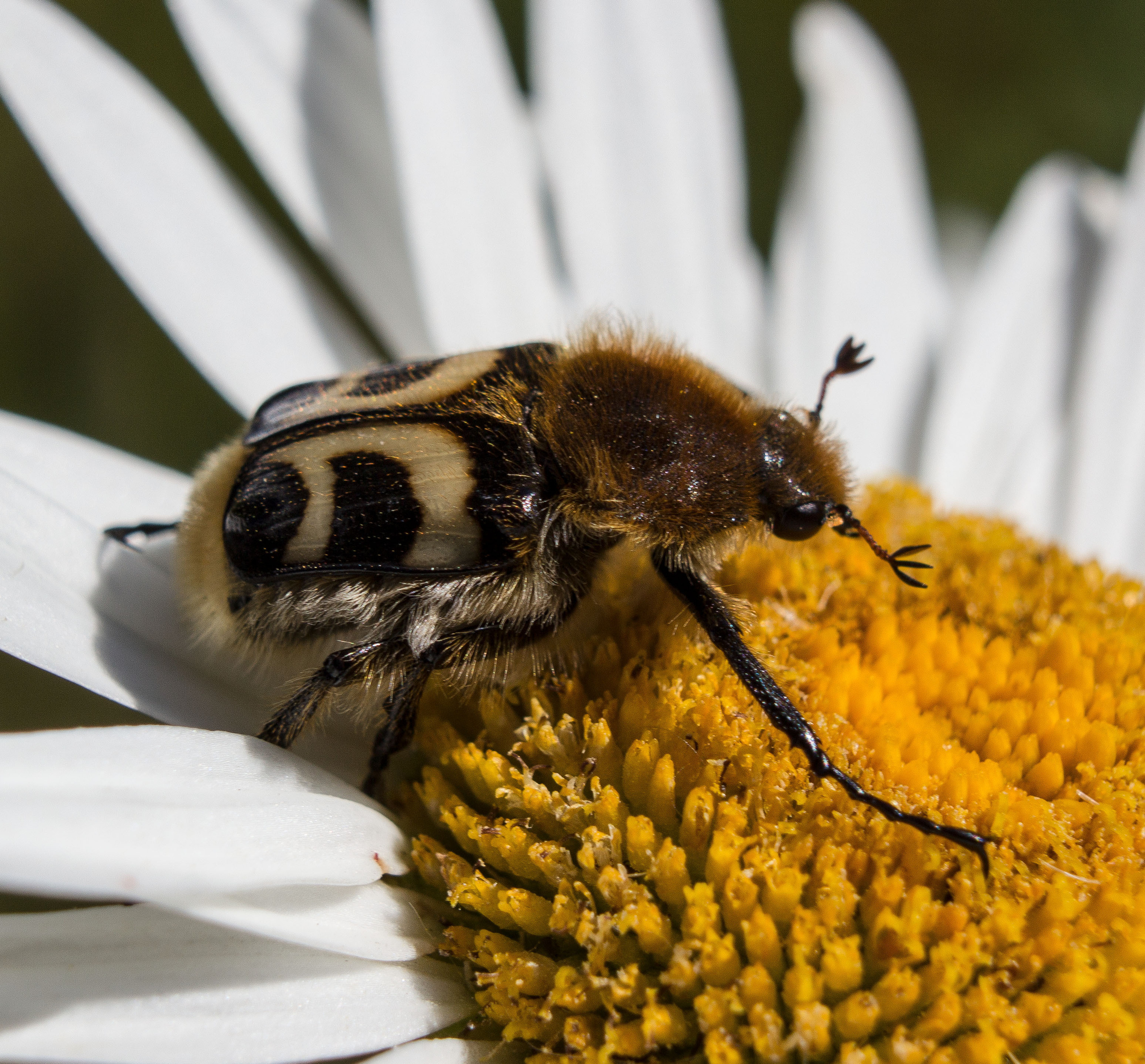 Макро. Обо всём