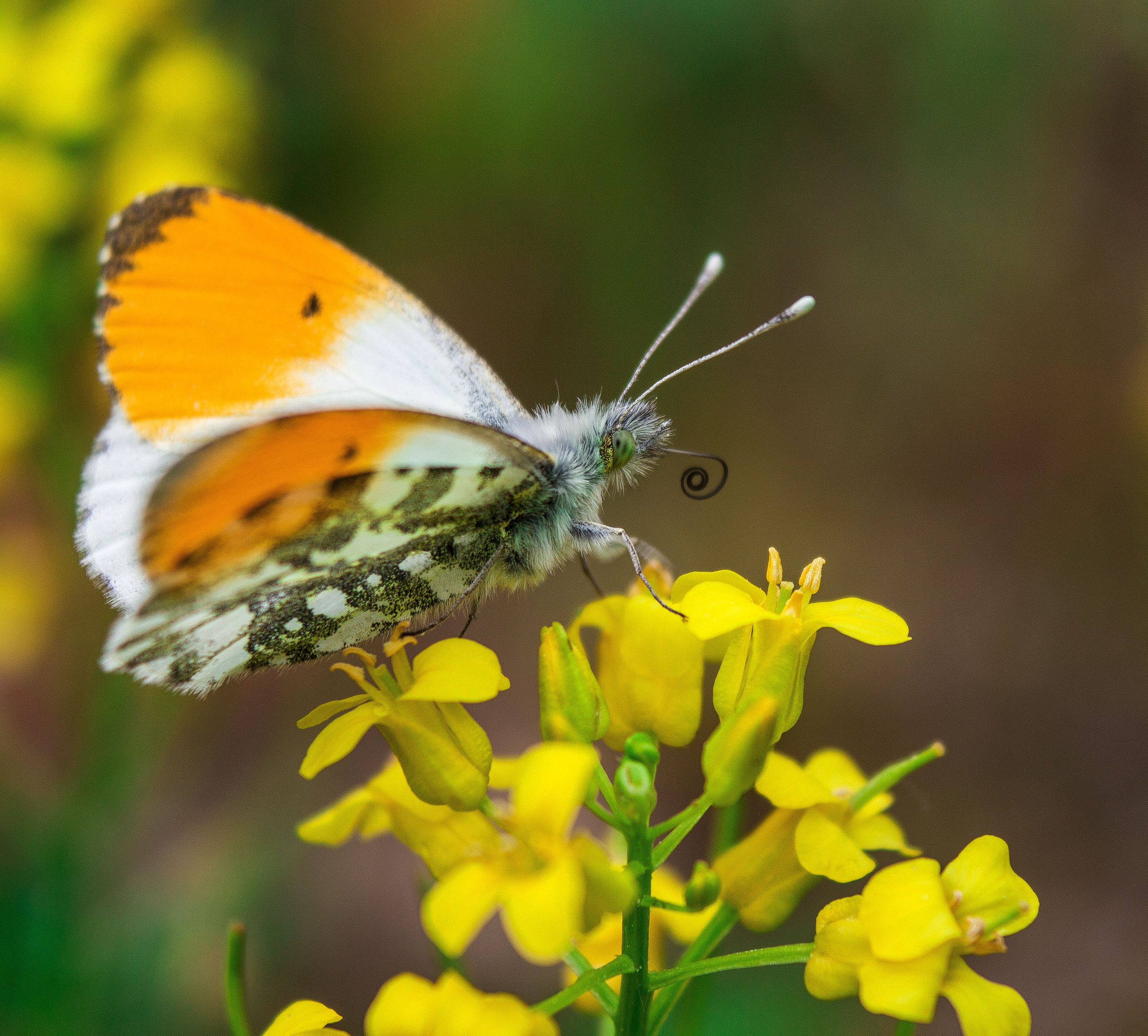 Макро. Обо всём