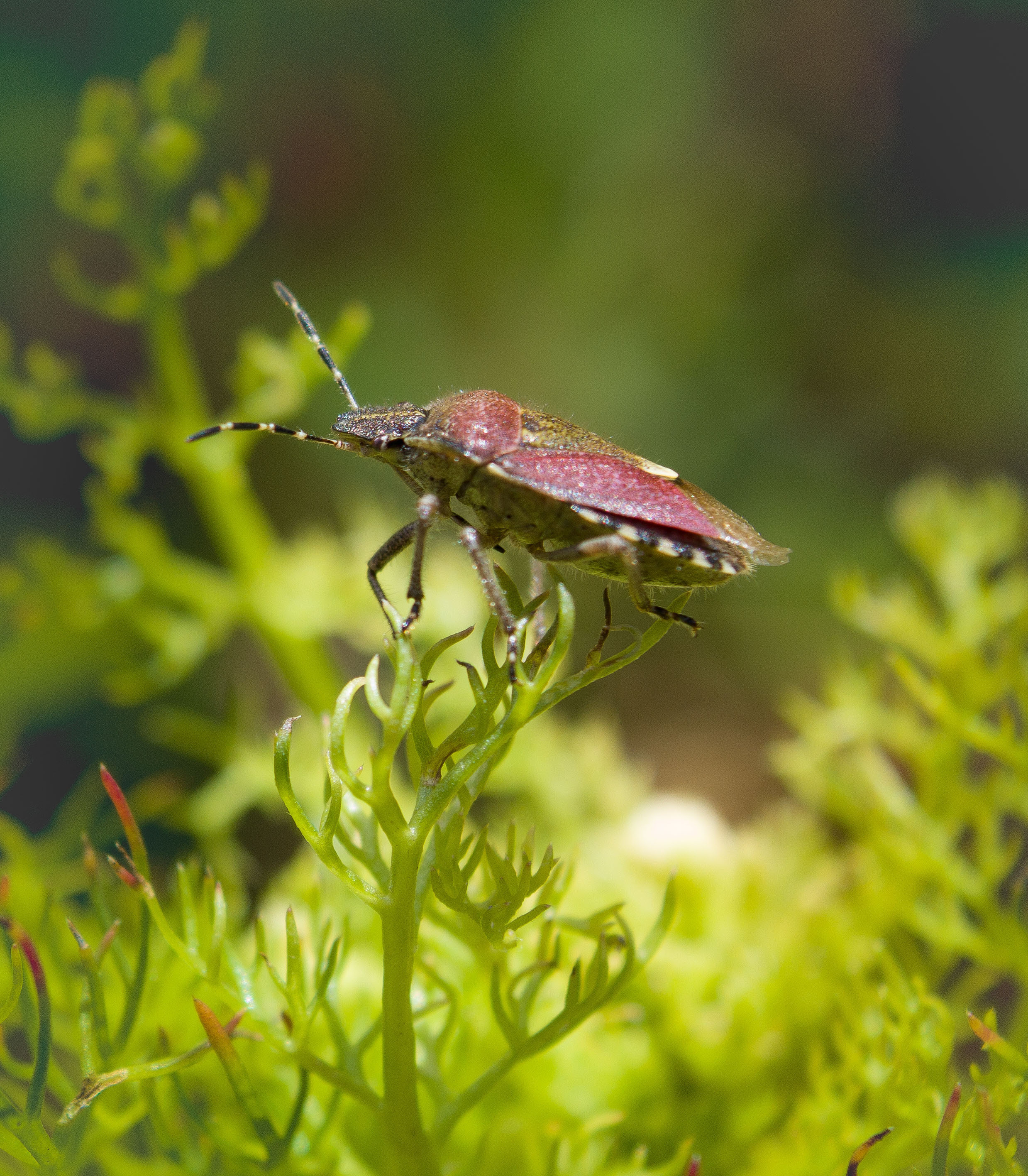 Макро. Обо всём