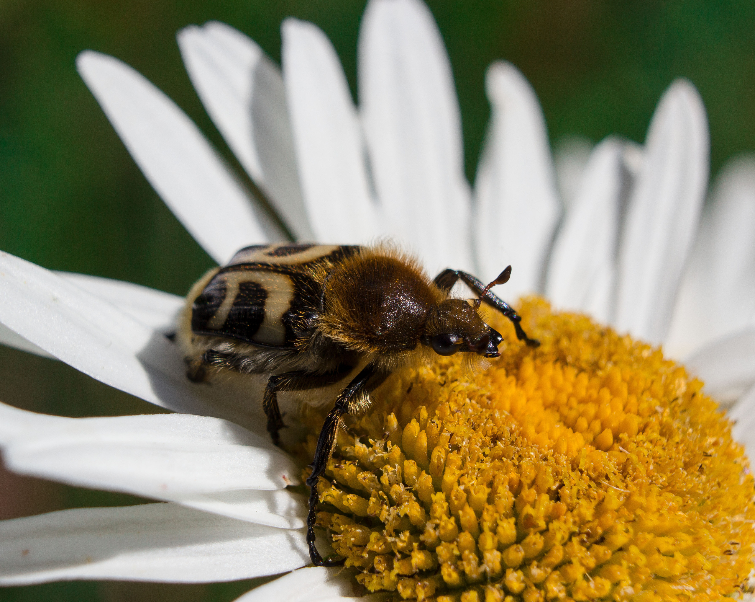 Макро. Обо всём