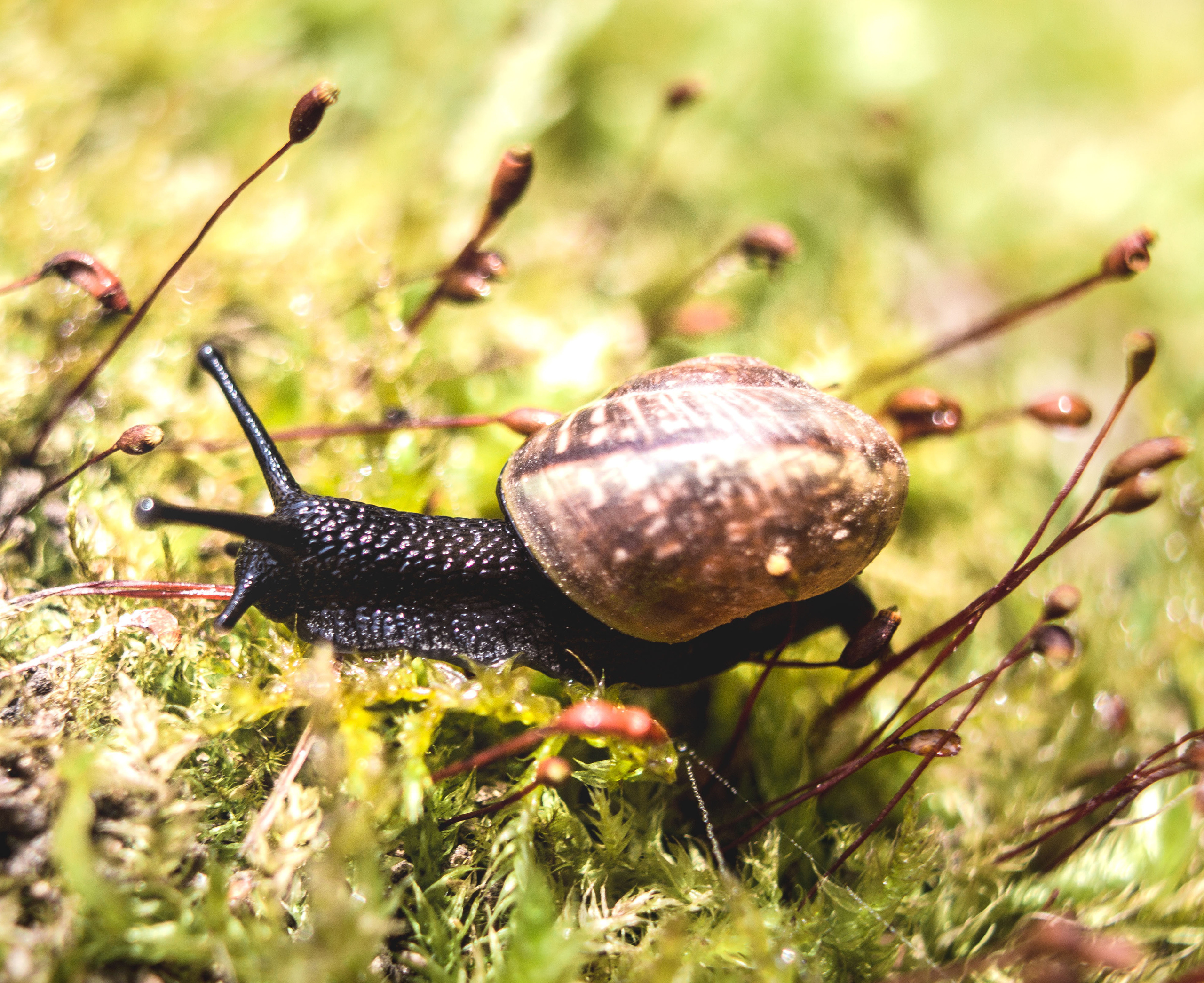 Макро. Обо всём