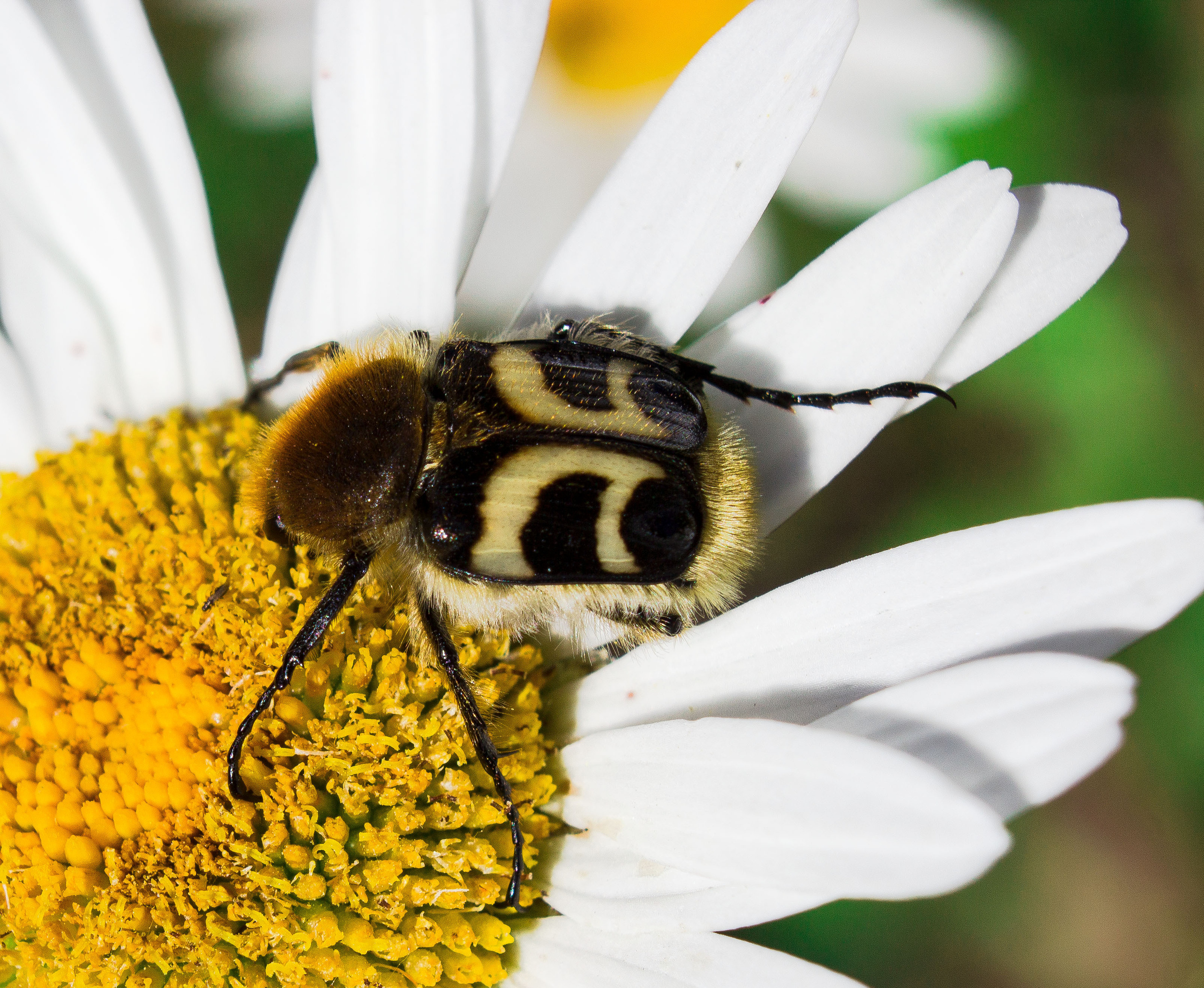 Макро. Обо всём
