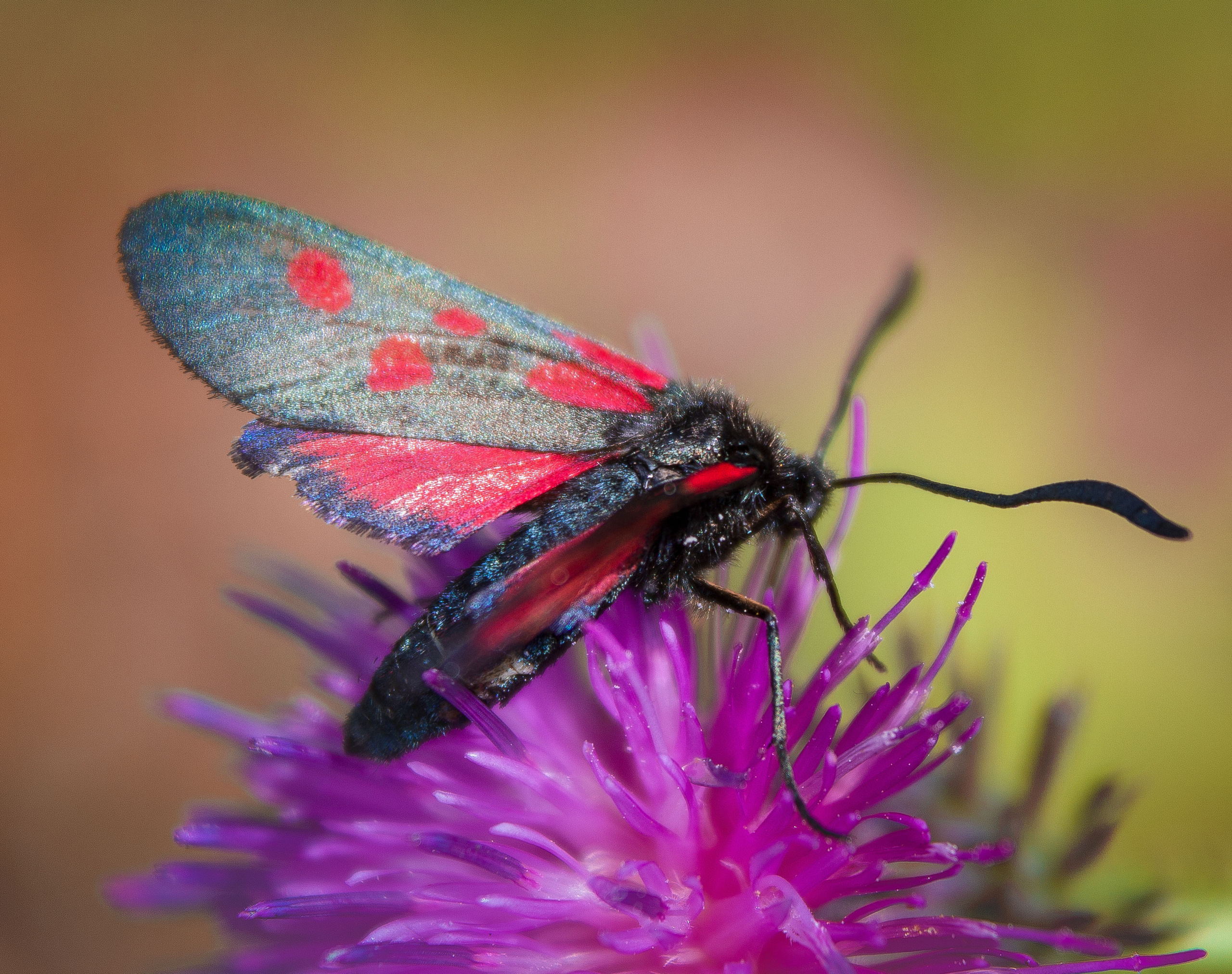 Макро. Обо всём