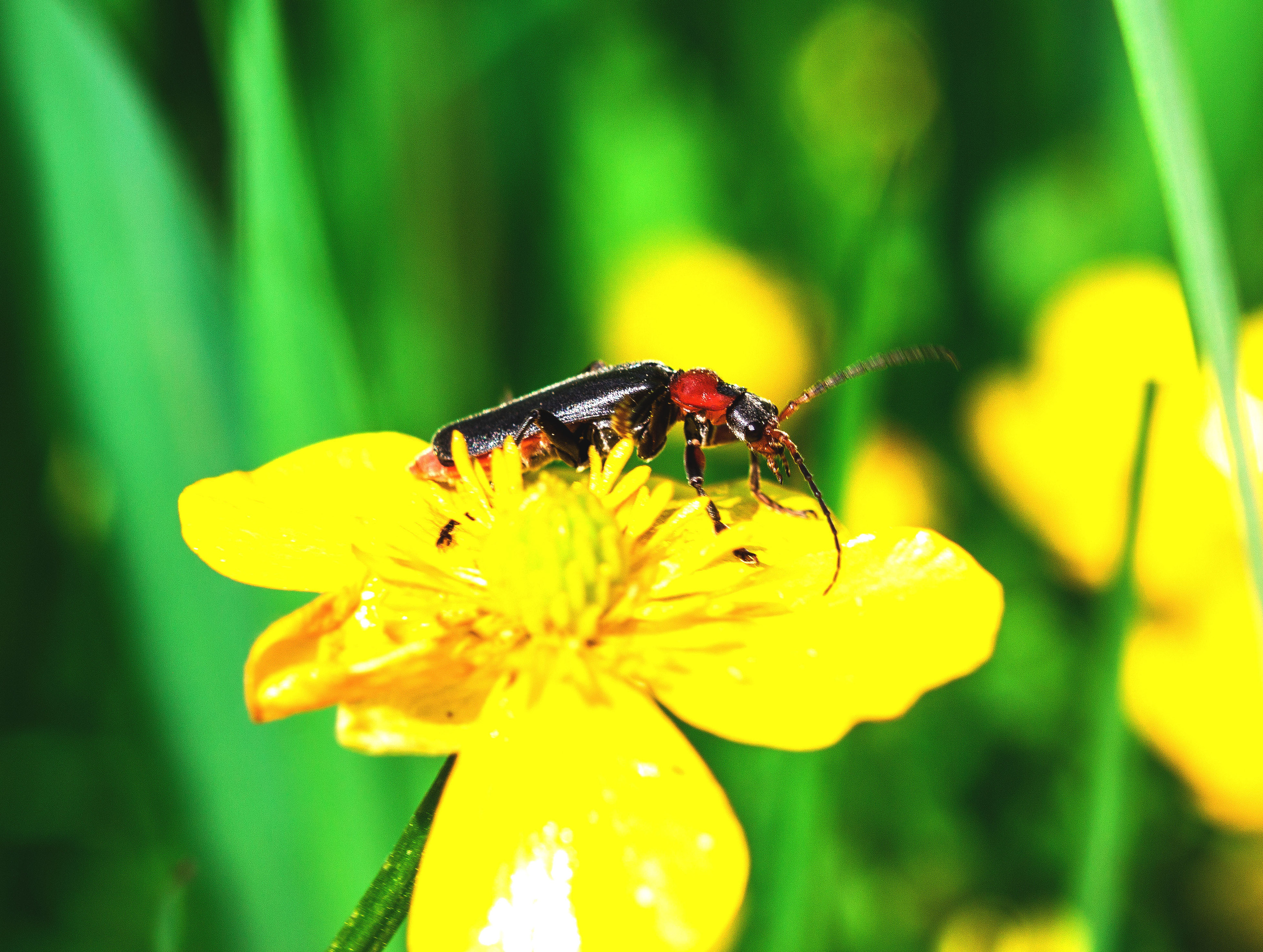 Макро. Обо всём