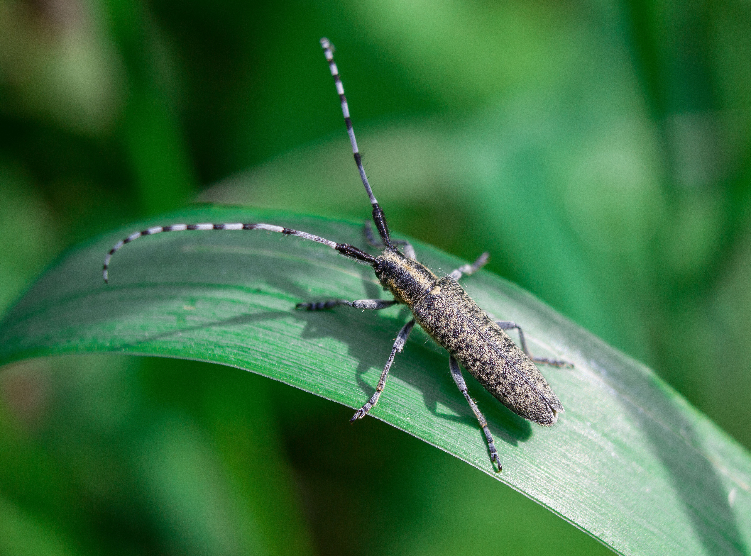 Макро. Обо всём