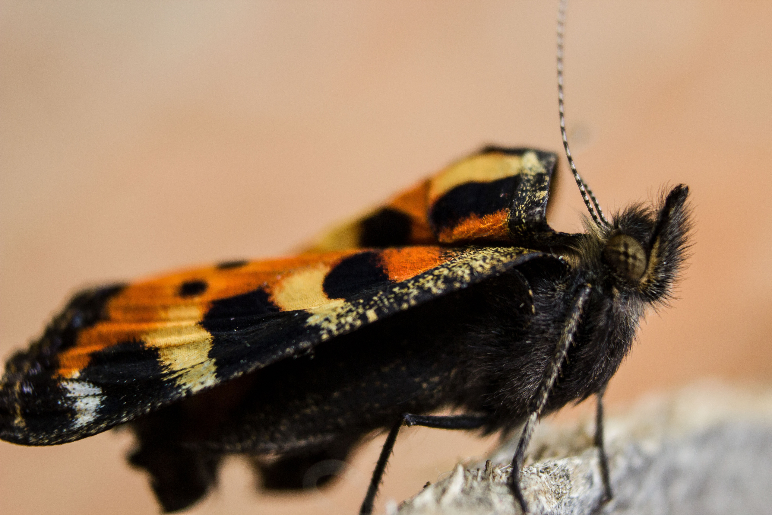 Макро. Обо всём