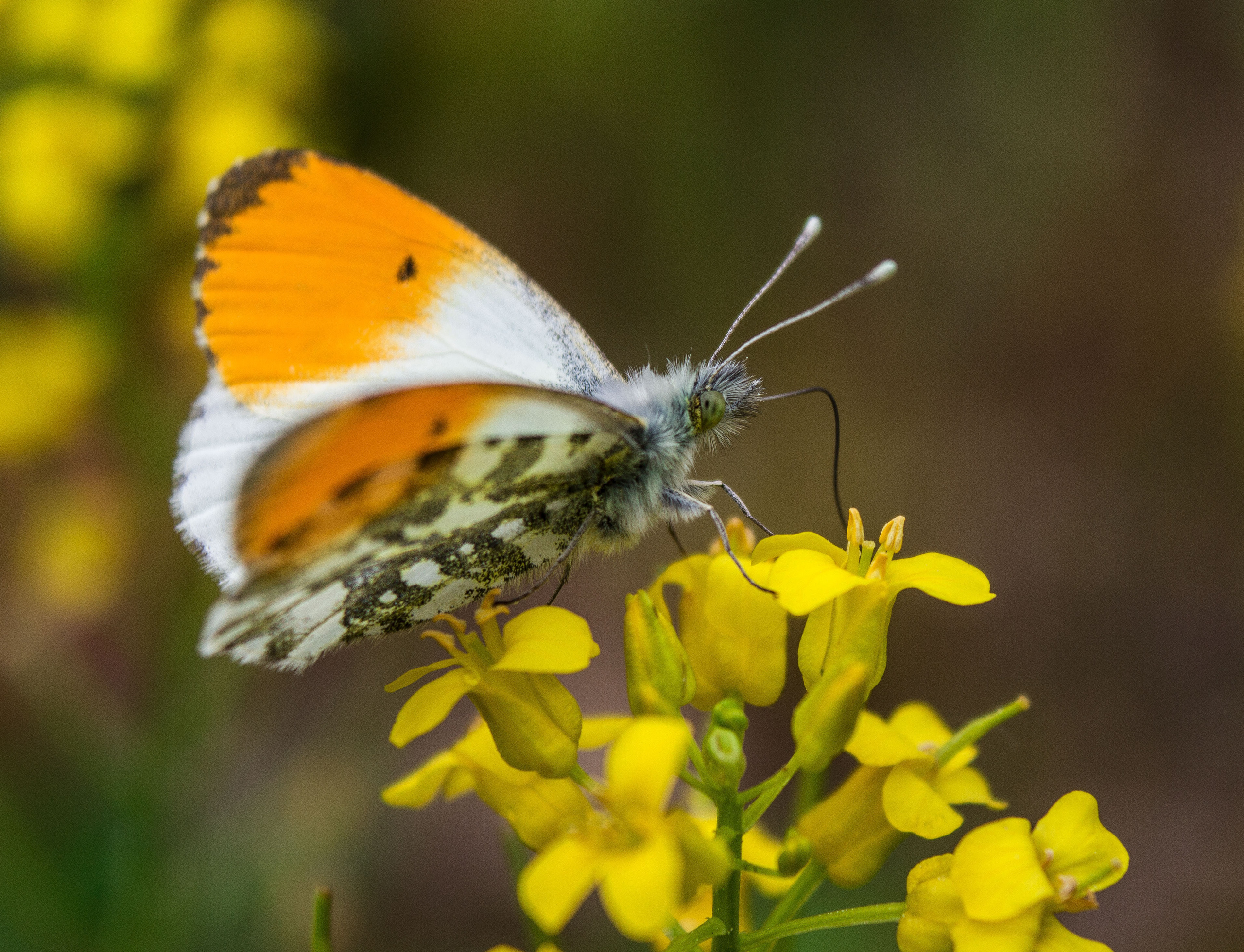 Макро. Обо всём